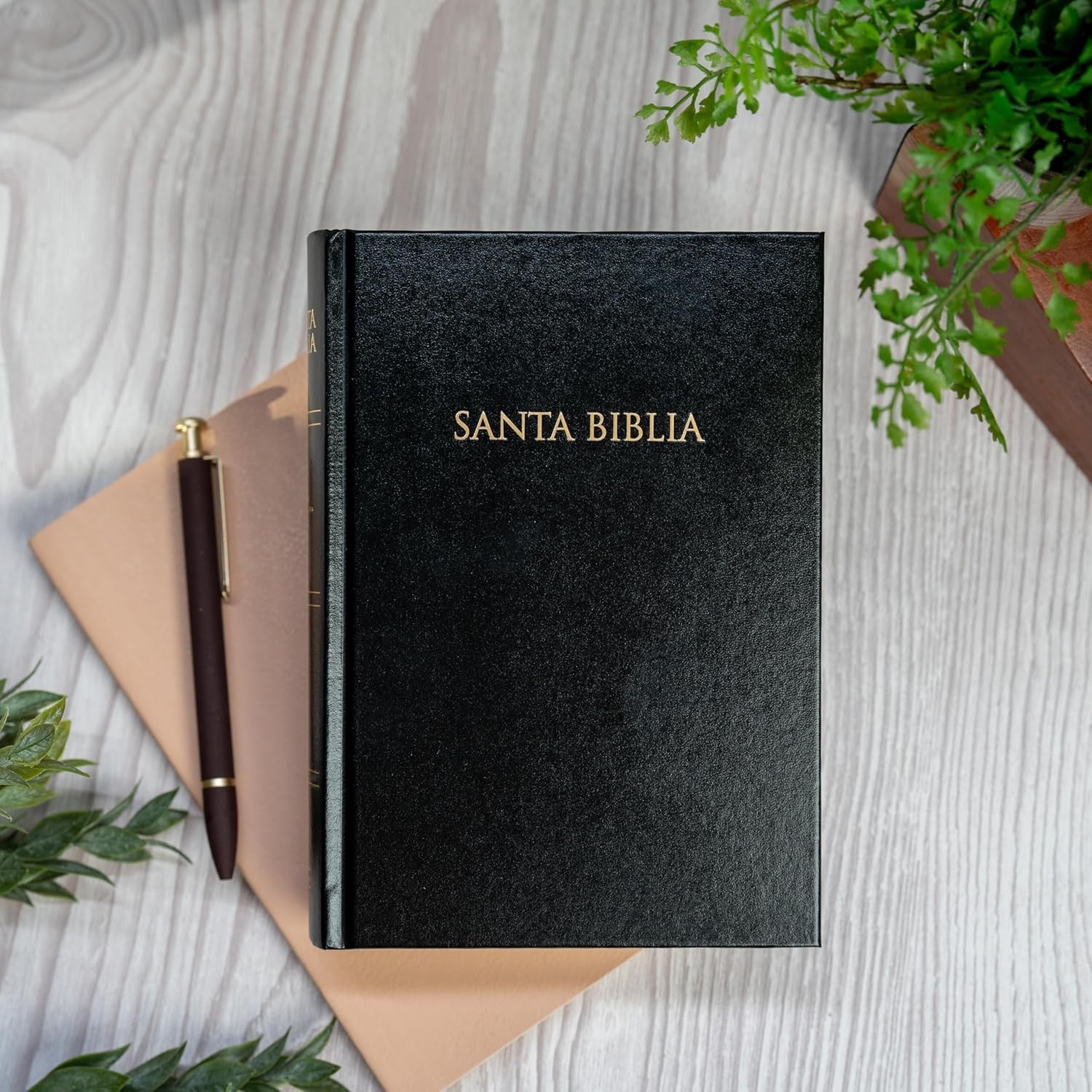 Biblia Reina Valera 1960, Tapa Dura, Negro (En Español) RVR 1960 Gift Hardcover