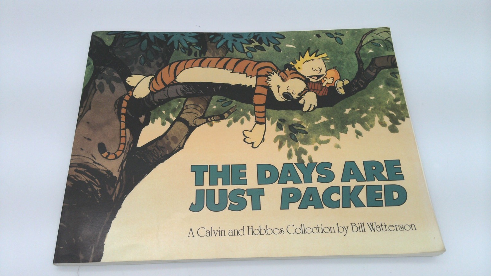 Calvin and Hobbes Collection Lot of 10 Books Bill Watterson Comic Strip Cartoon