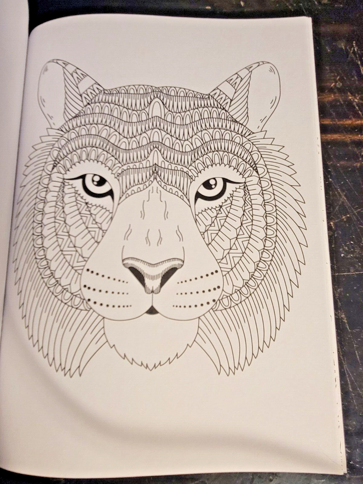 COLORS OF THE WILD! Vol. 18 Adult Coloring Book With 47 Prints Ready To Frame!