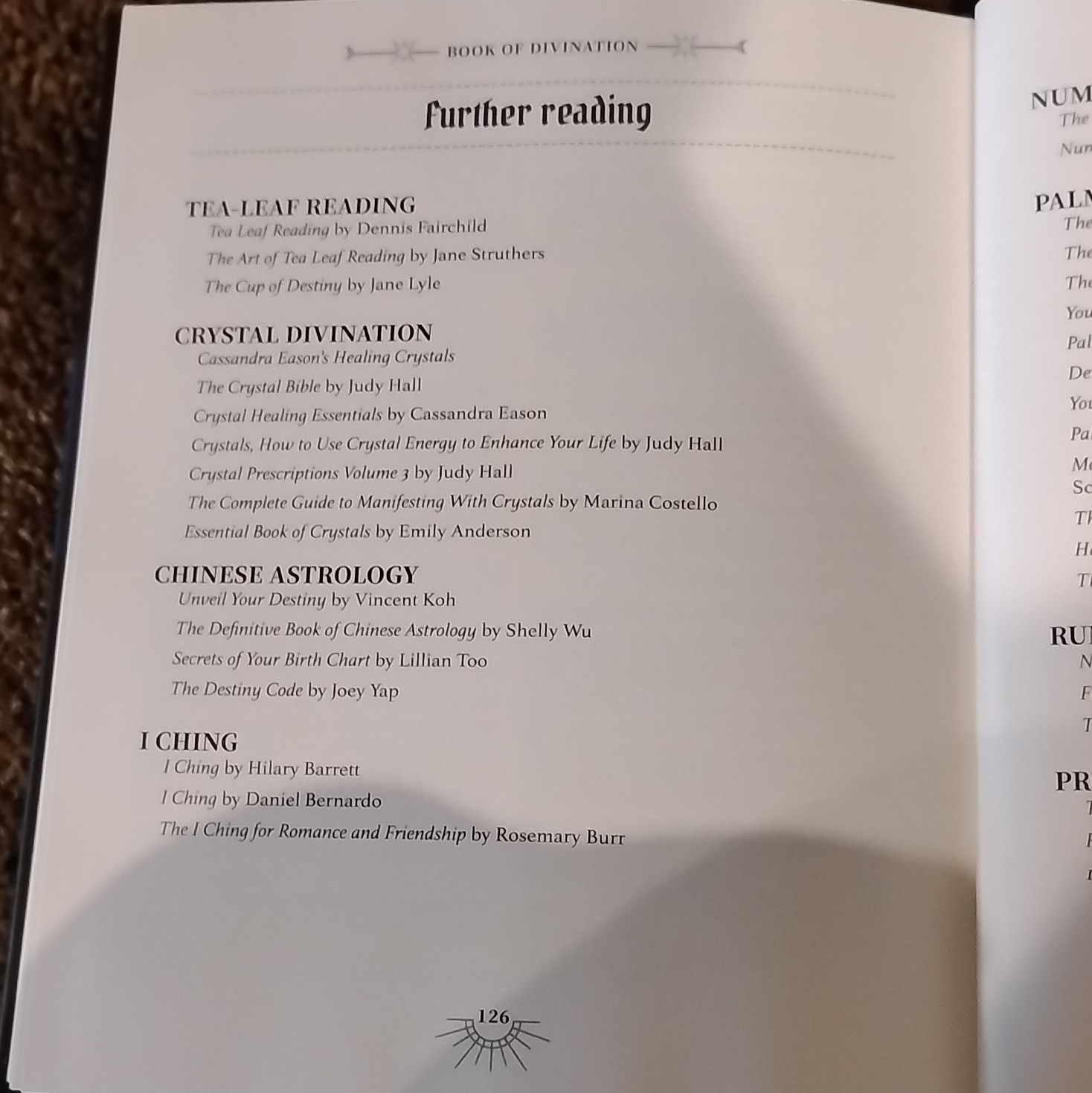 The Book of Divination Michael Johnstone Hardcover Predicting the Future