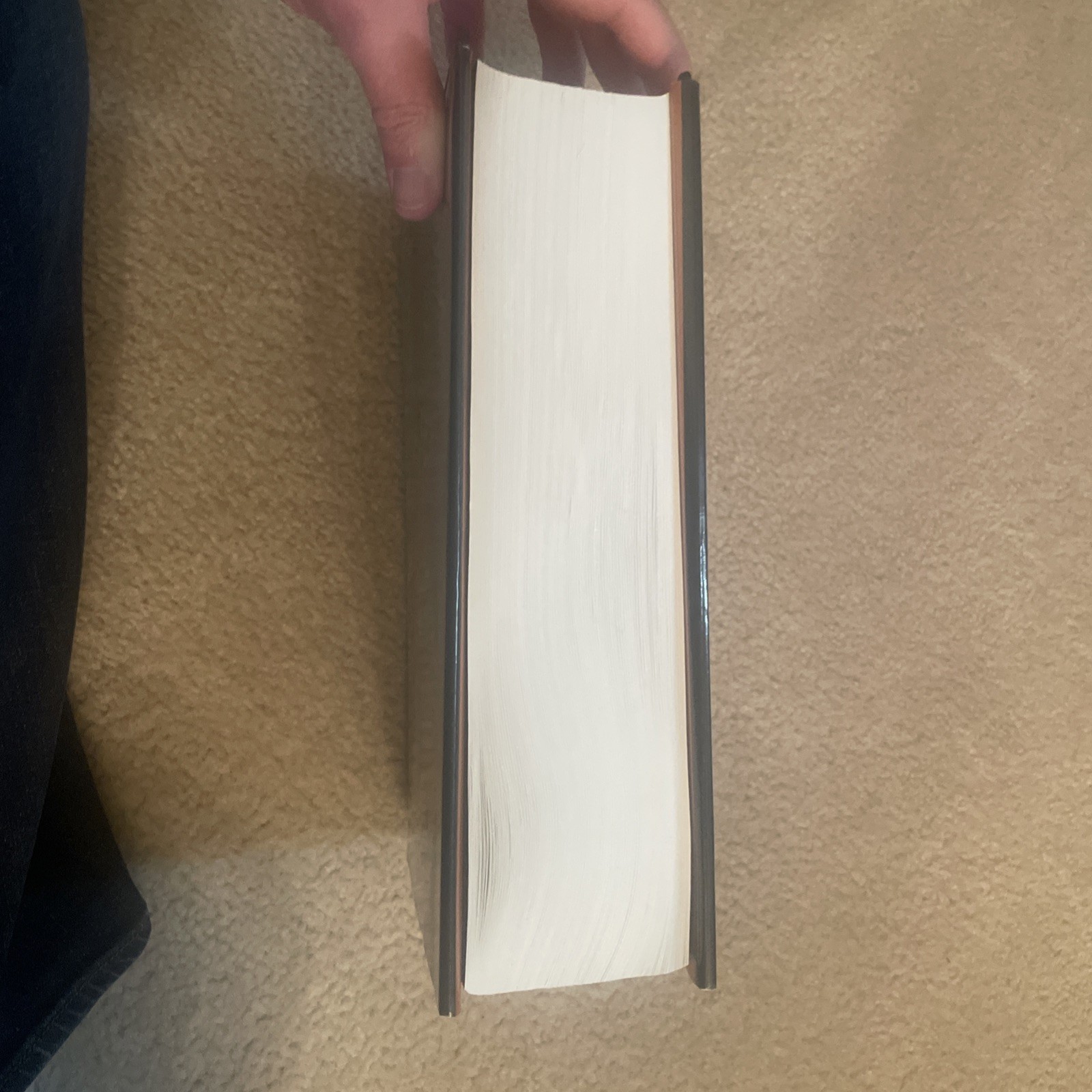 Business: The Ultimate Resource – hardcover, 0738202428, Perseus Publishing