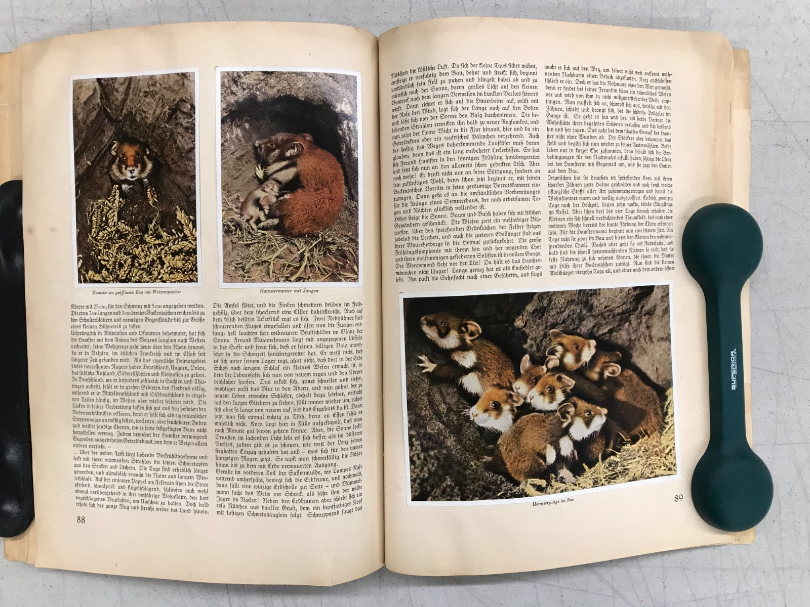 Aus Wald Und Flur – Two German Books 1937/1938 Plants and Animals, Set of 2 E-77