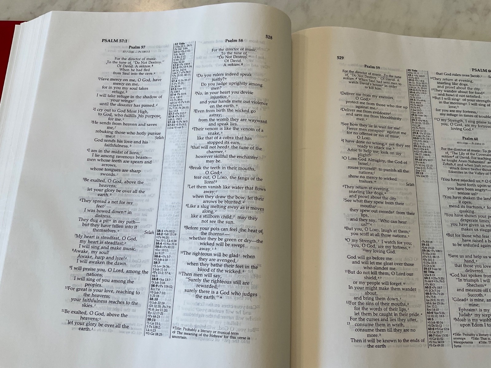 NIV Wide Margin Reference Bible Cambridge Hardcover Text 1984