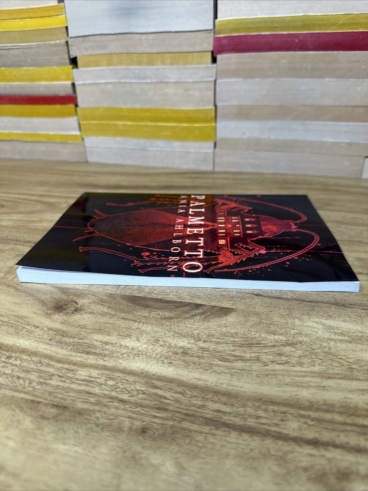 PALMETTO Ania Ahlborn Signed Limited Edition Thunderstorm Books 2021 horror