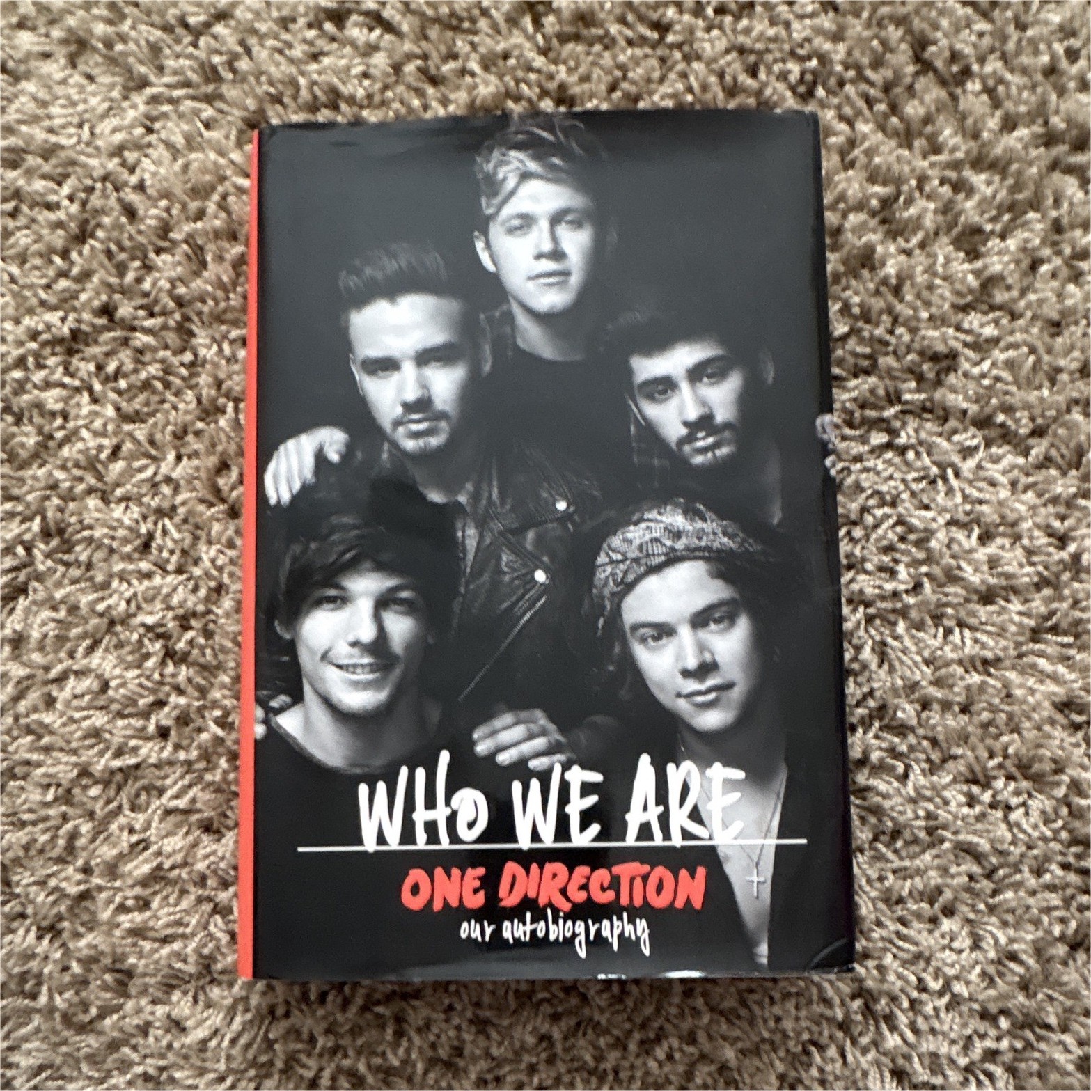 One Direction Who We Are Hardcover Illustrated (2013)
