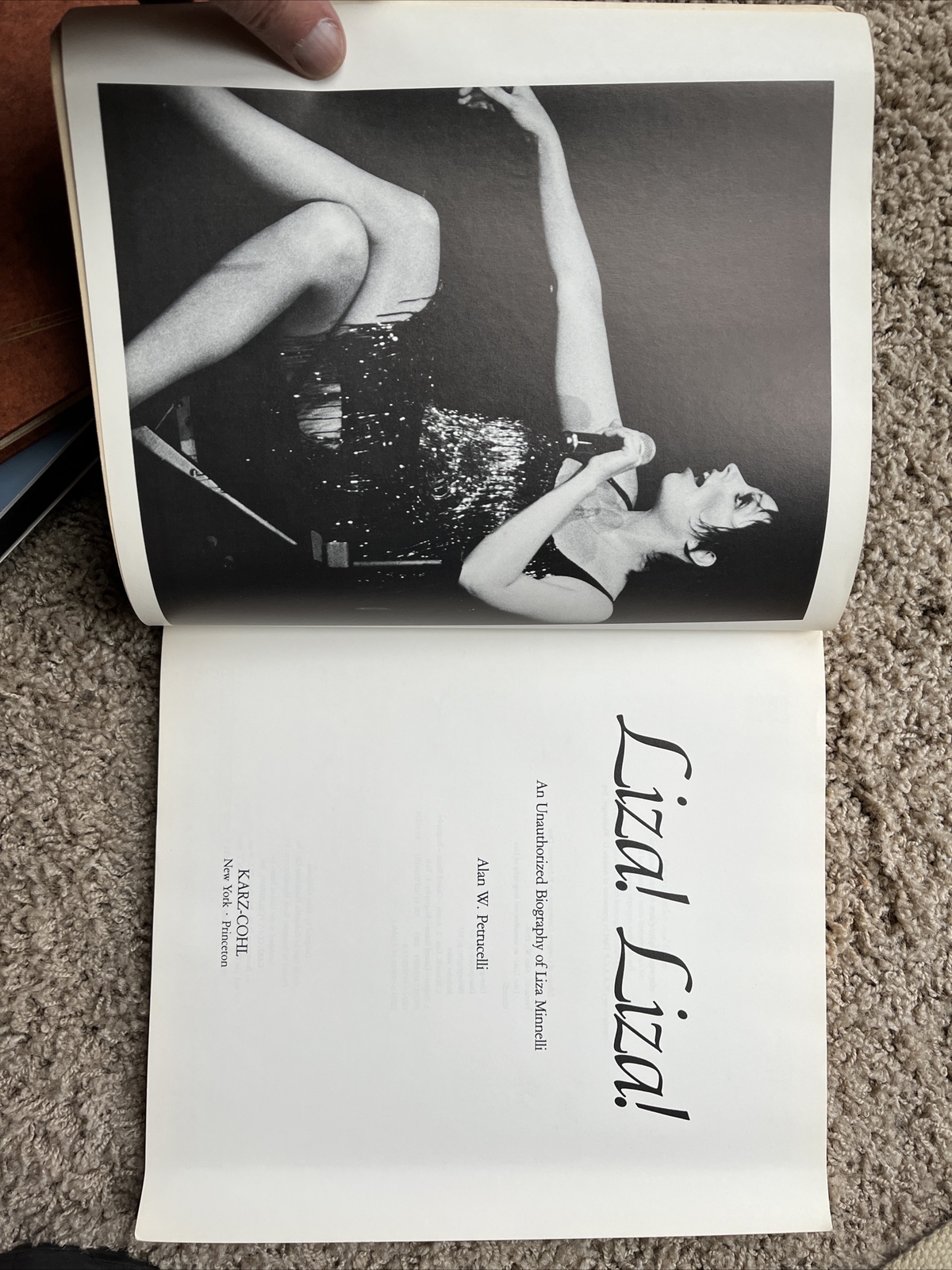 Liza Liza! An Unauthorized Biography of Liza Minnelli – Petrucelli SC Illustr.