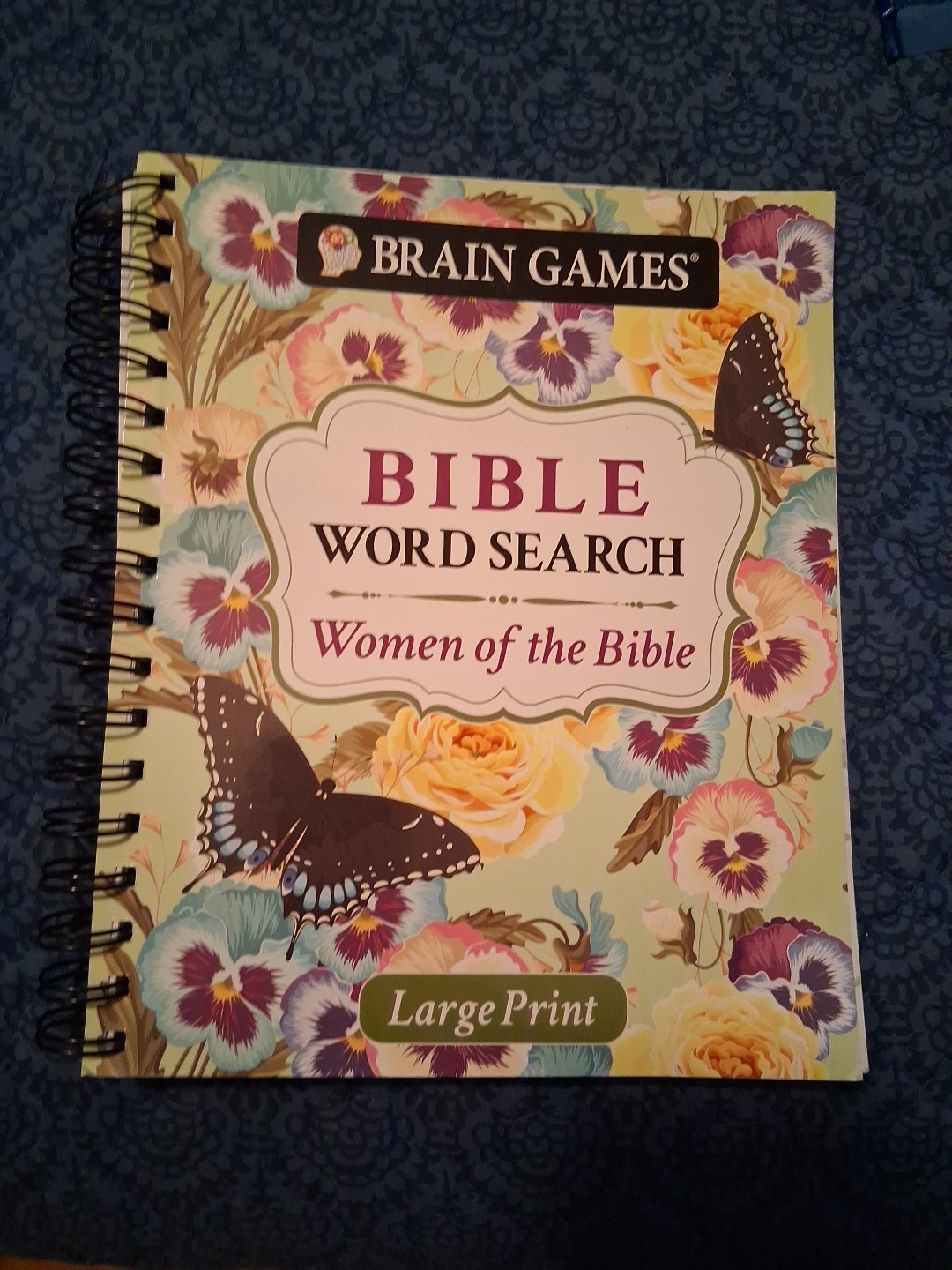 Brain Games – Bible Ser.: Brain Games Bible Word Search : Women Of The Bible