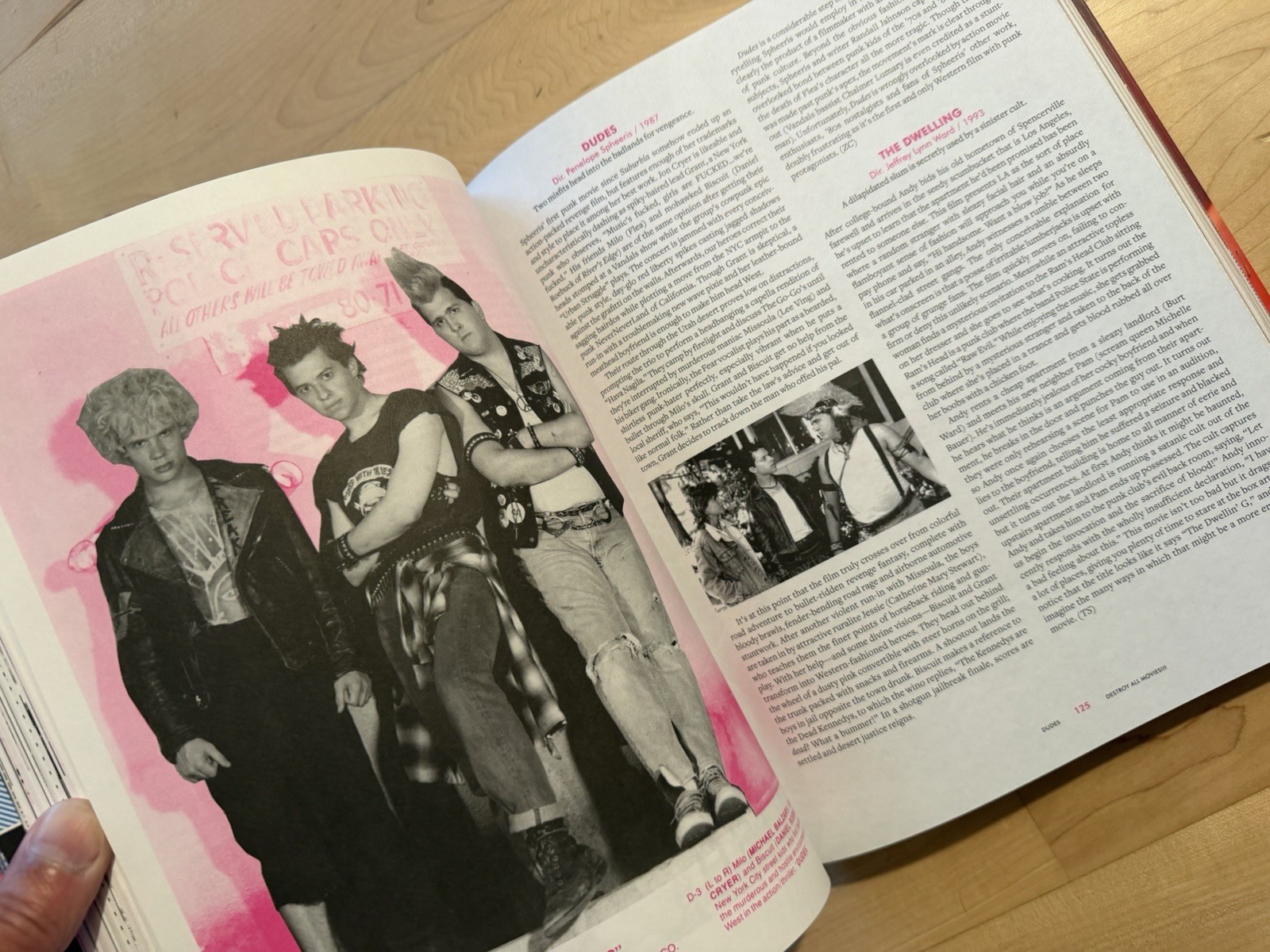 DESTROY ALL MOVIES!!! The Complete Guide To Punks On Film 2010 Fantagraphics TPB