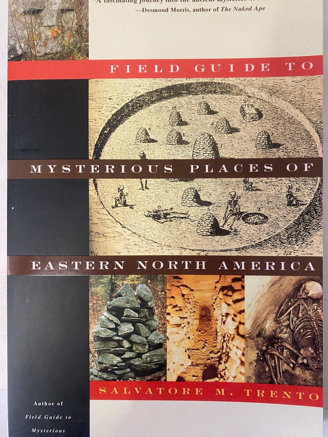 Field Guide to Mysterious Places of Eastern North America Salvatore Trento 1997