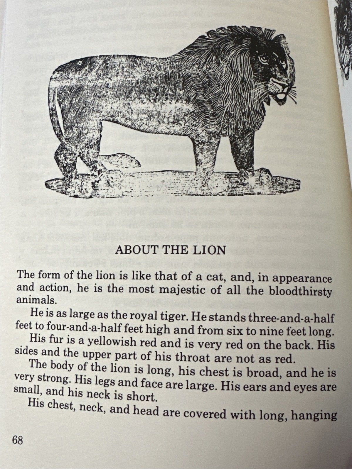 The Four-Footed Animals Of Ka Lama Hawaii By Esther T Mookini