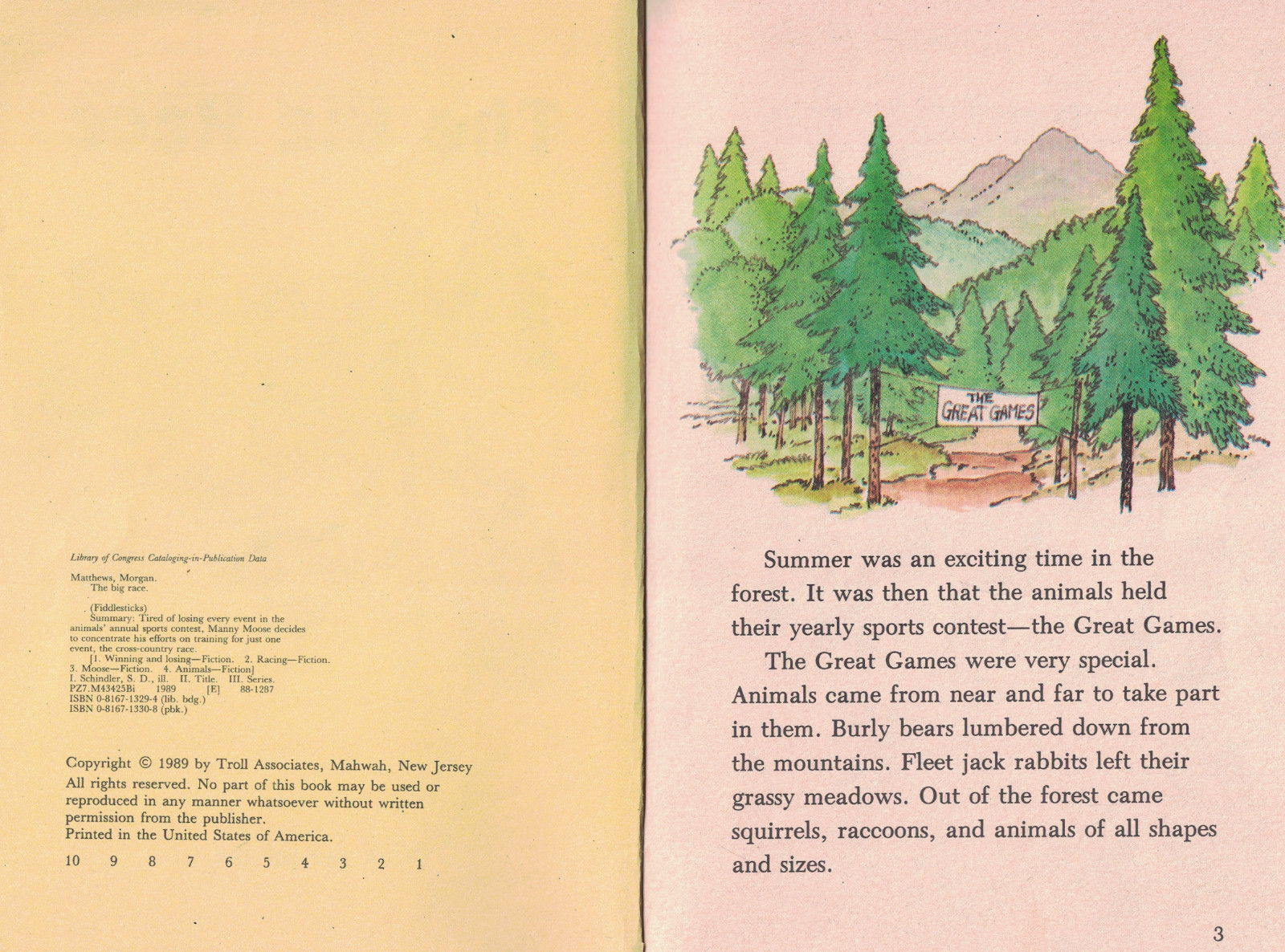 THE BIG RACE by Morgan Matthews / S.D. Schindler – FIDDLESTICKS 1989 Troll Book