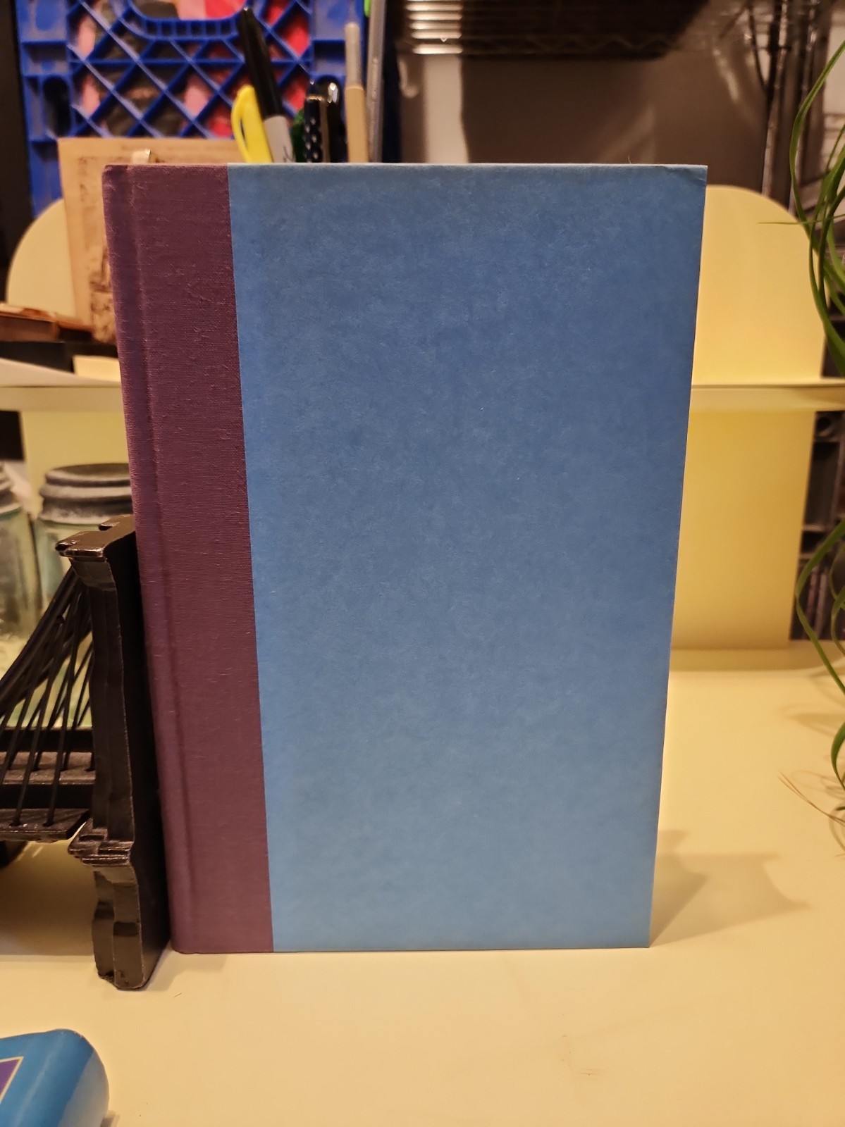 SIGNED BY AUTHOR 1ST EDITION PICTURES OF PERFECTION REGINALD HILL COLLECTIBLE F3