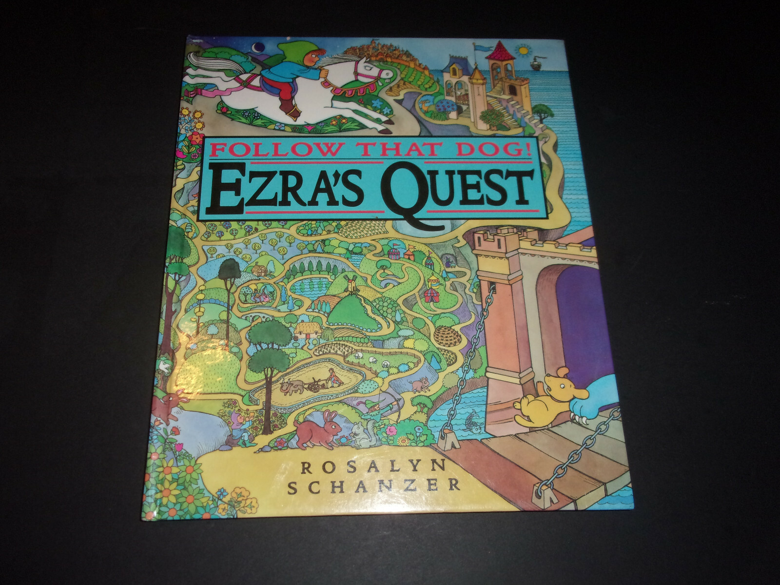Ezra’s Quest – Follow That Dog! (Rosalyn Schanzer) (Middle Ages Mazes) HC;VGCon