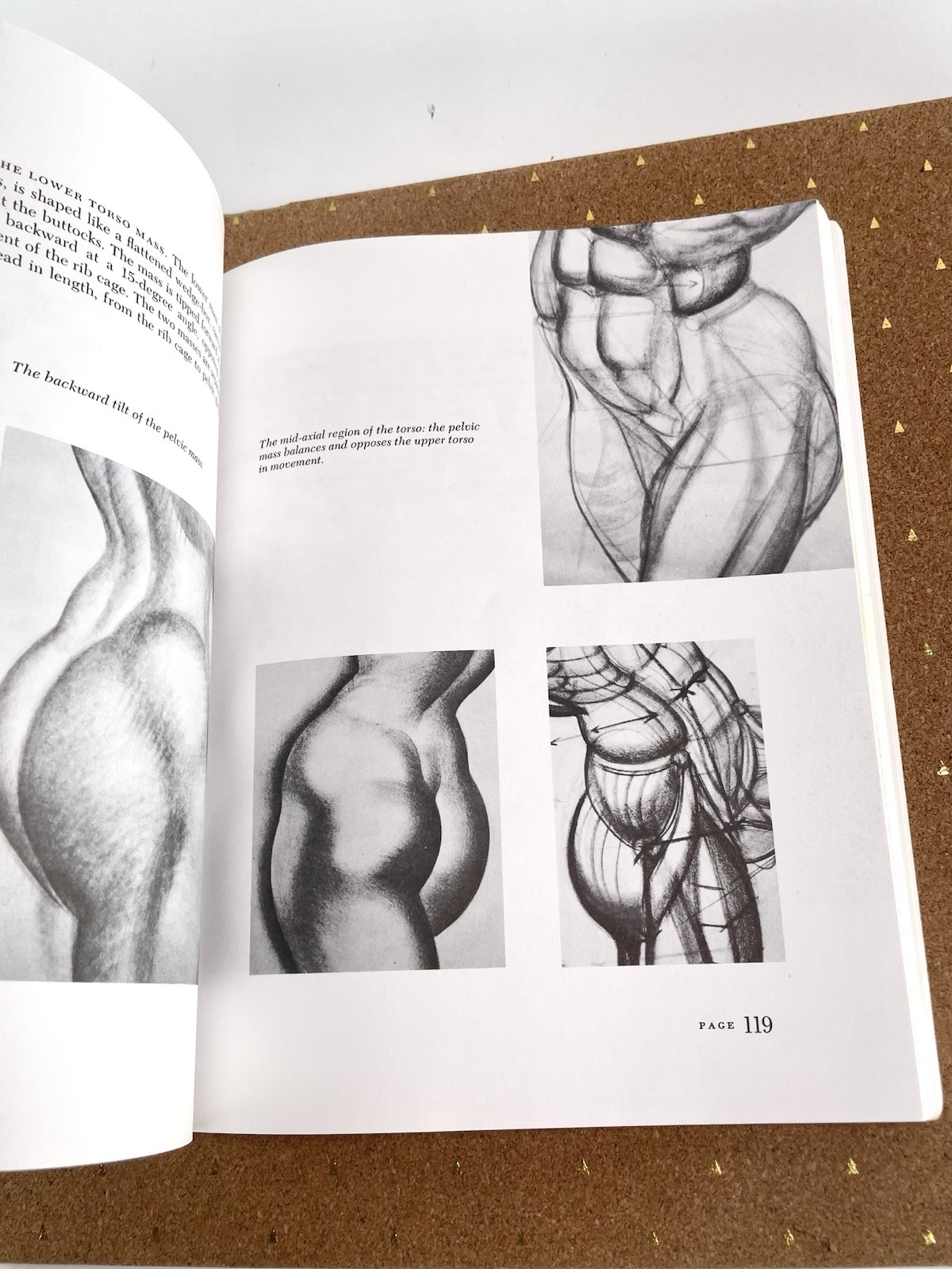 VTG 1990 Dynamic Anatomy SC Burne Hogarth Measurements Proportions Anatomical