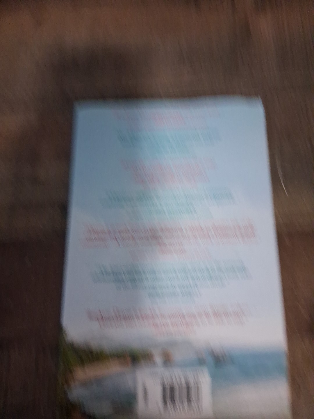 The Cafe at Beach End – Paperback By Thayne, RaeAnne – GOOD