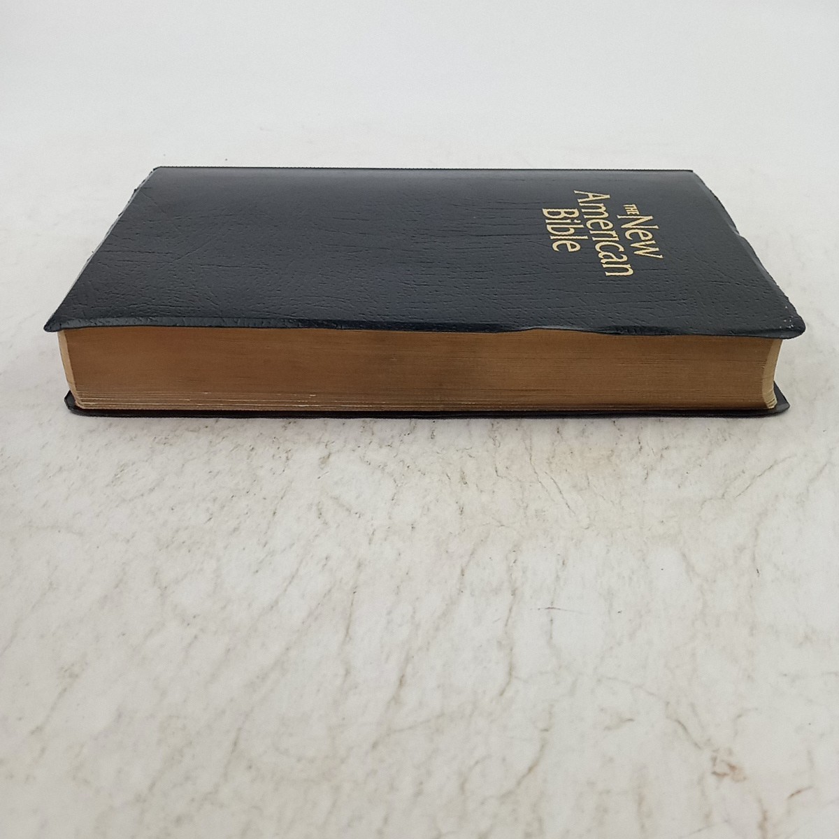 New American Bible Official Bible Catholic World Press 2011 Revised ED