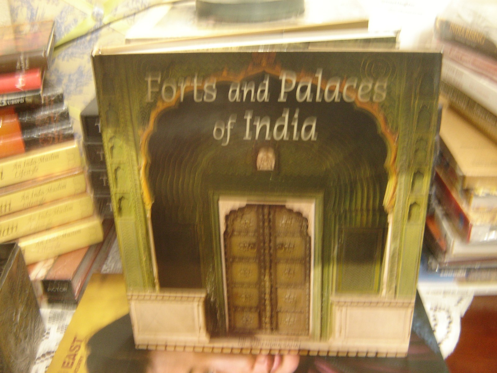 Forts and Palaces of India by Dr. Surendra Sahai. Prakash 2011. hardcover. $32.