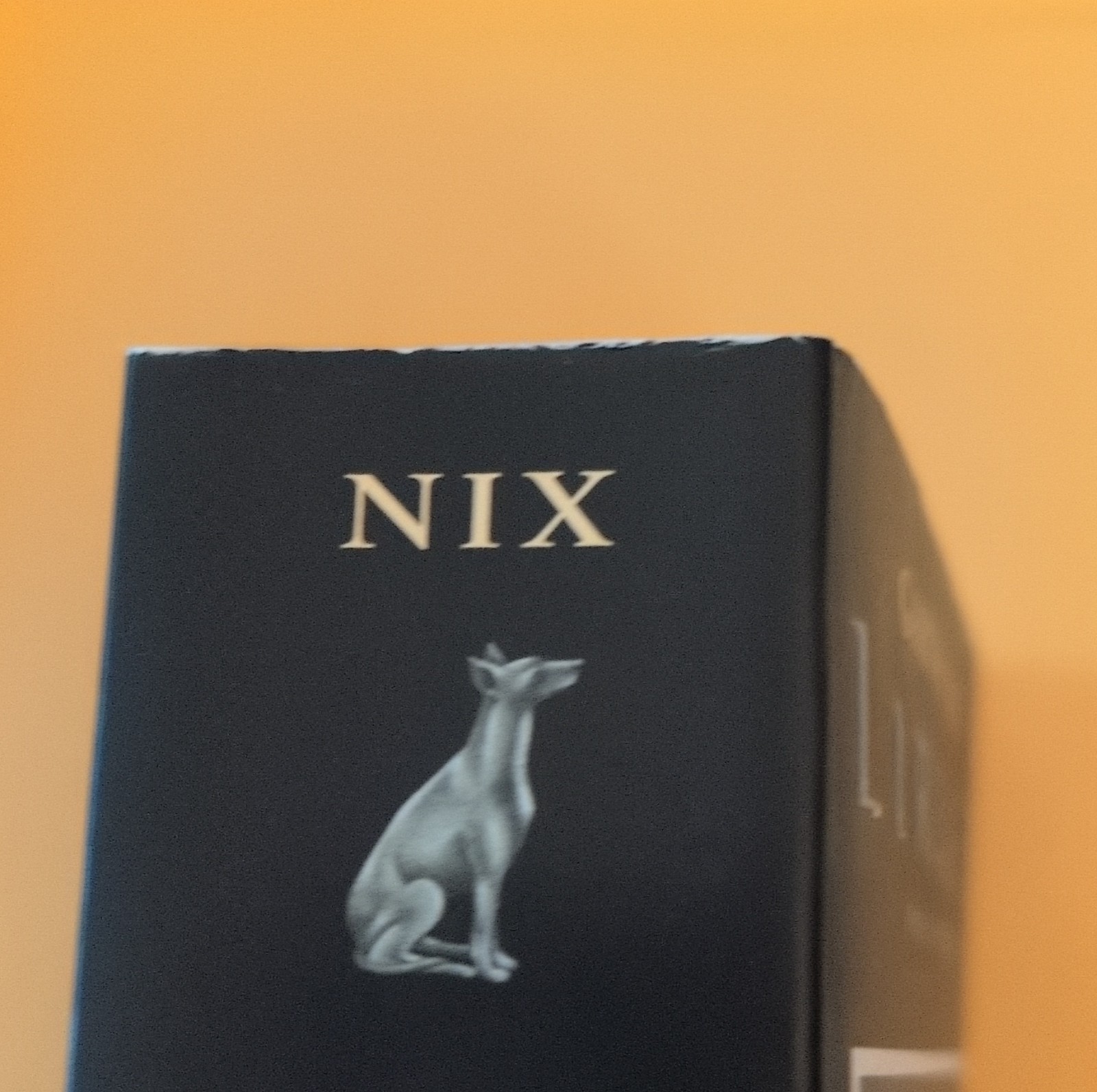 Lirael by Garth Nix Paperback Fantasy Novel HarperTrophy Old Kingdom Series