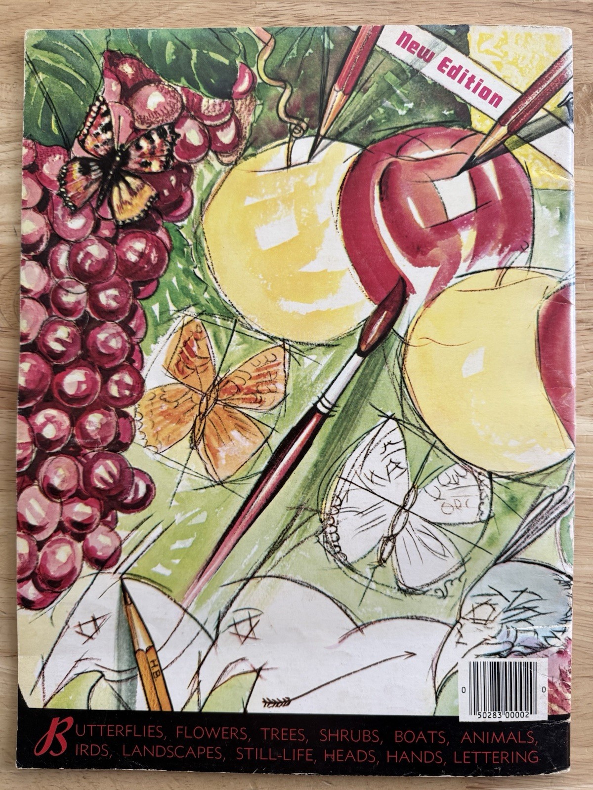 How To Draw Book by Walter T Foster – Butterflies, Flowers, Trees, Shrubs, Etc
