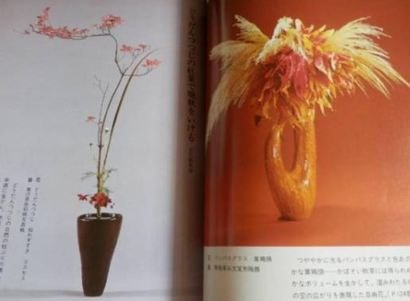 Ikebana Ikenobo Color Guide Book Japanese Flower Arrangement Beginner Japan