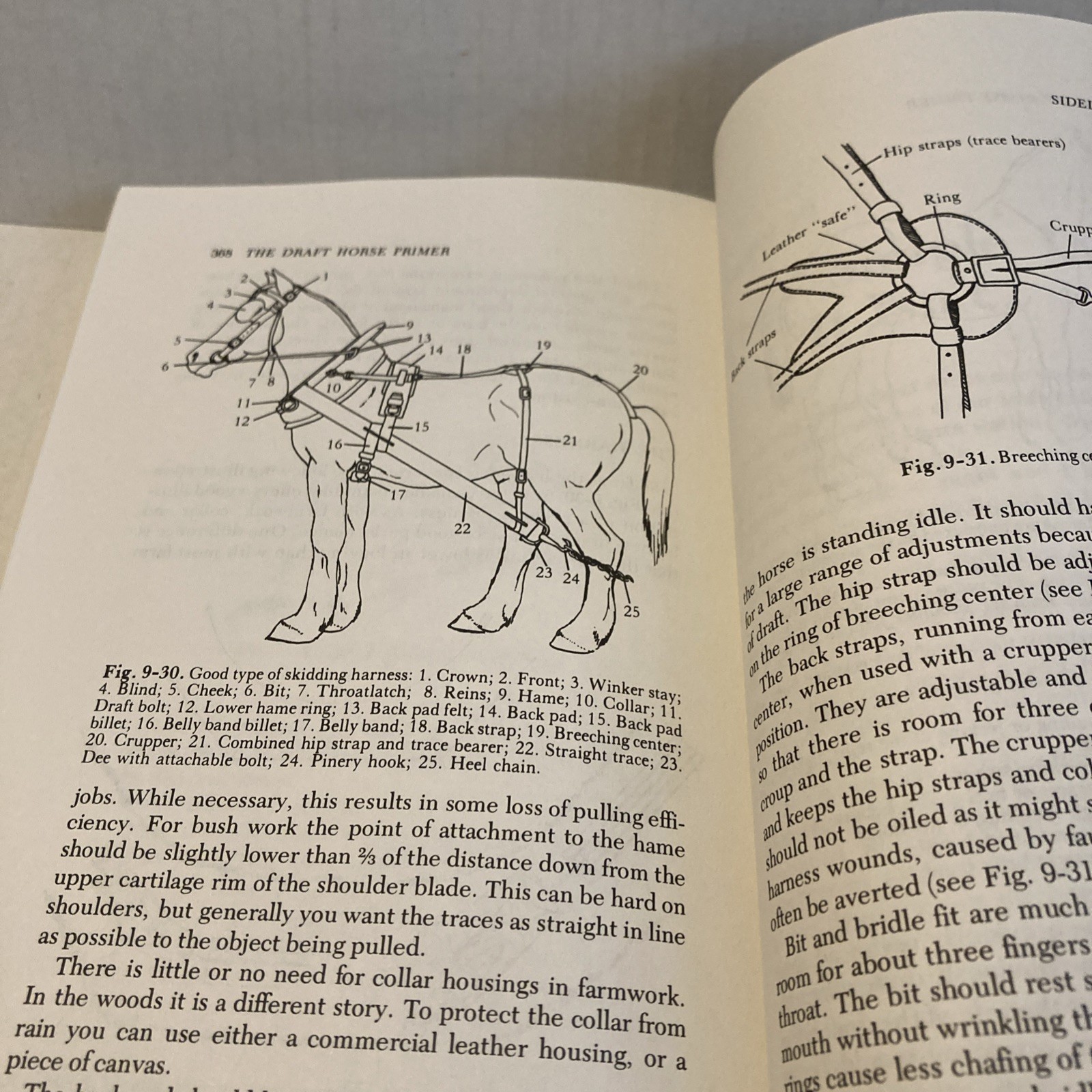 The Draft Horse Primer by Maurice Tellen 1977 Paperback 392 Pages