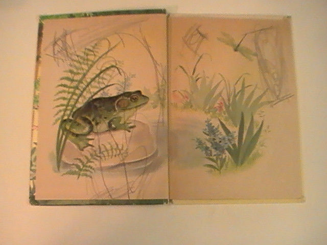 1960 ONCE UPON A TIME JUNIOR ELF BOOK
