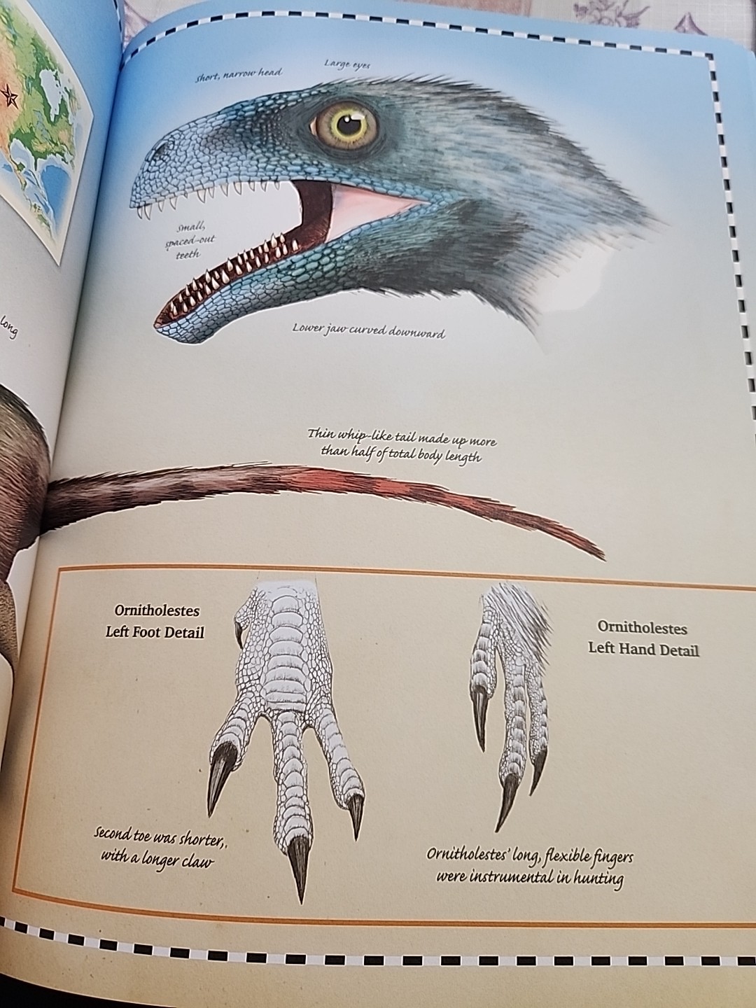 Jurassic Animal Encyclopedia Activity Journal Includes Stickers and Poster