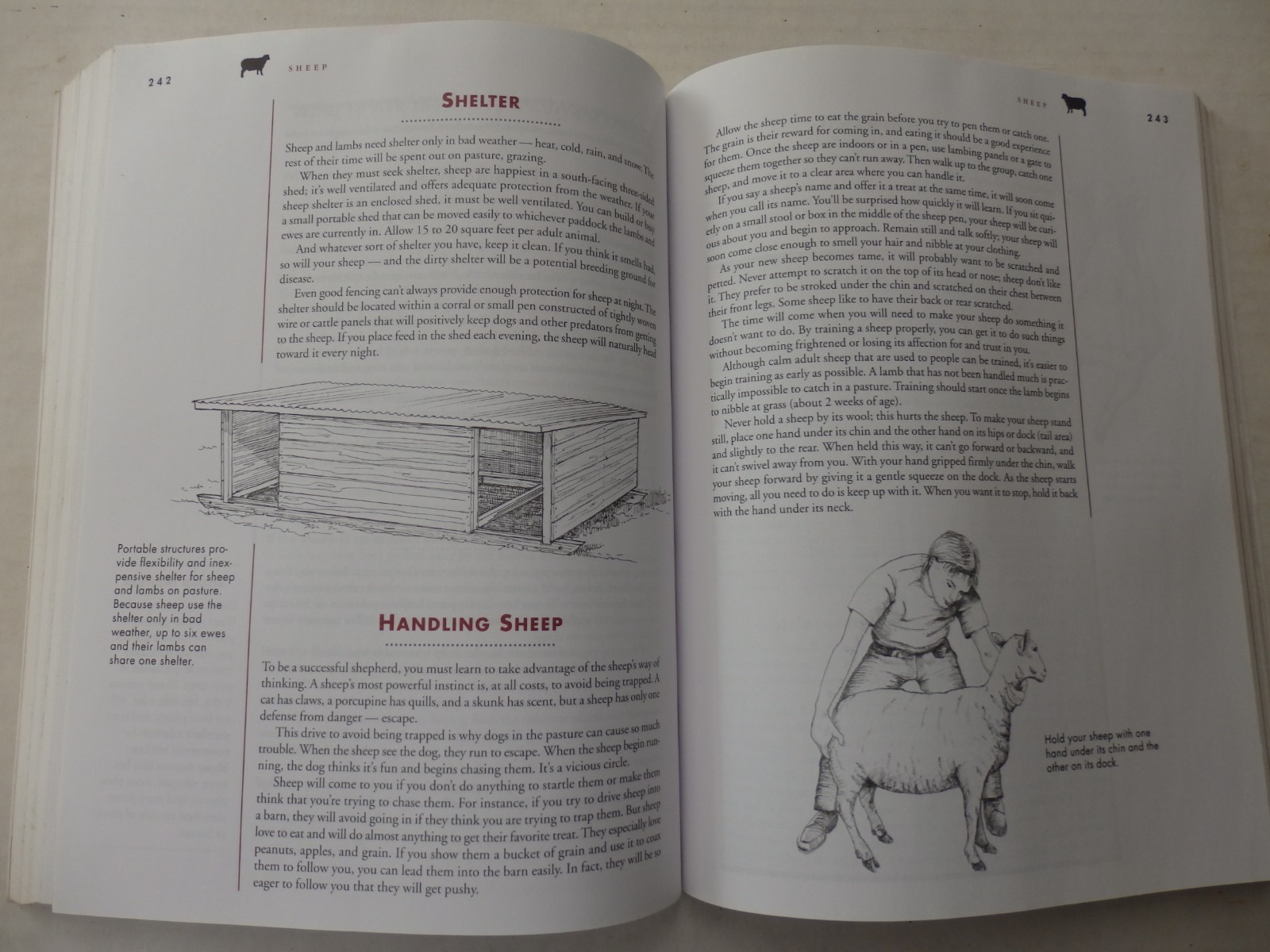 Barnyard in Your Backyard; Raising Chickens, Ducks, Rabbits, Goats+ 2002 SC