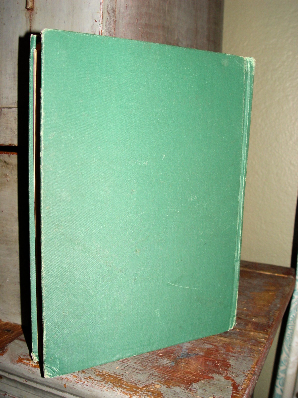 Pleasure Ways for Youthful Days 1890; Charming Recitations Grace Townsend