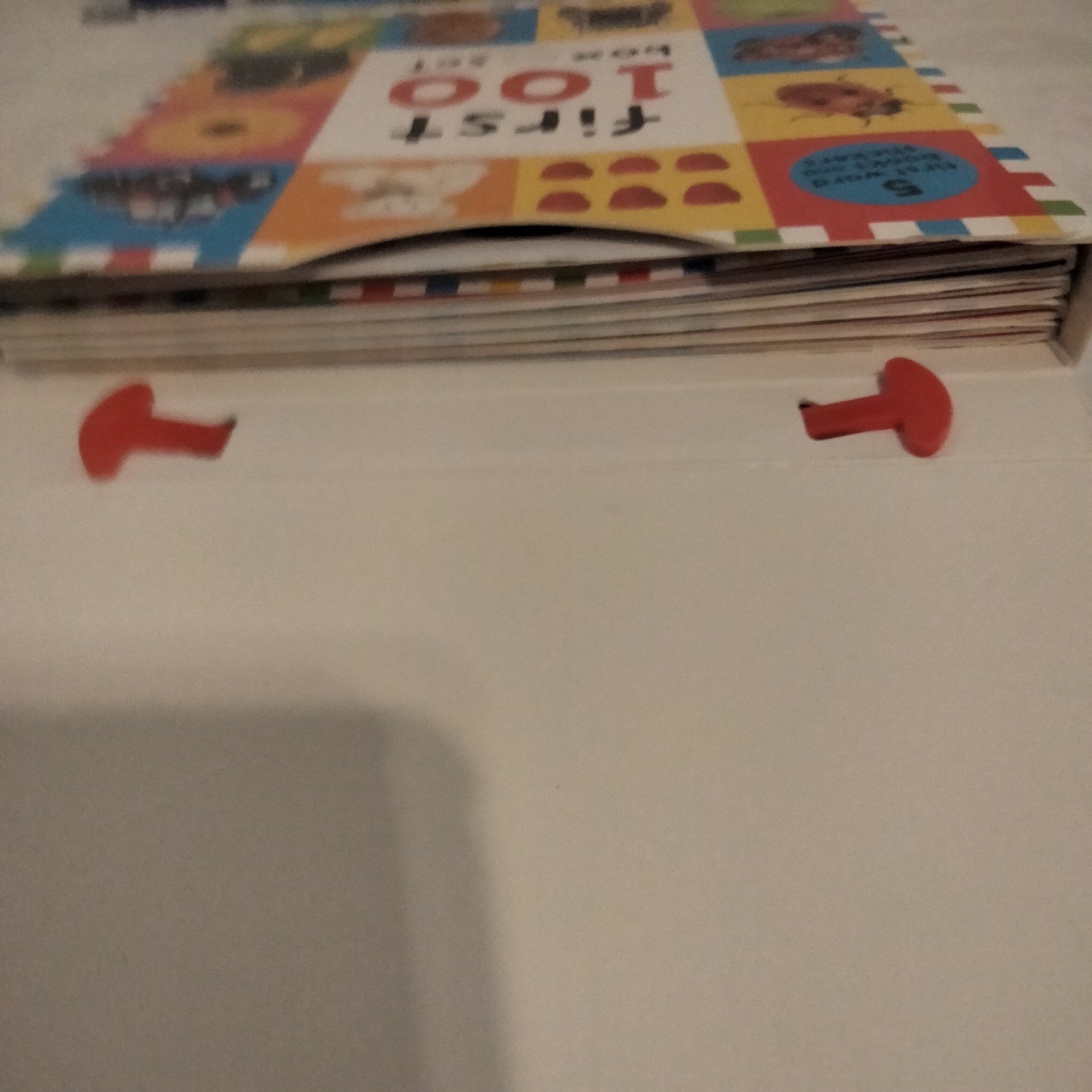 First 100 PB Box Set (5 Books) : First 100 Words; First 100 Animals; First…