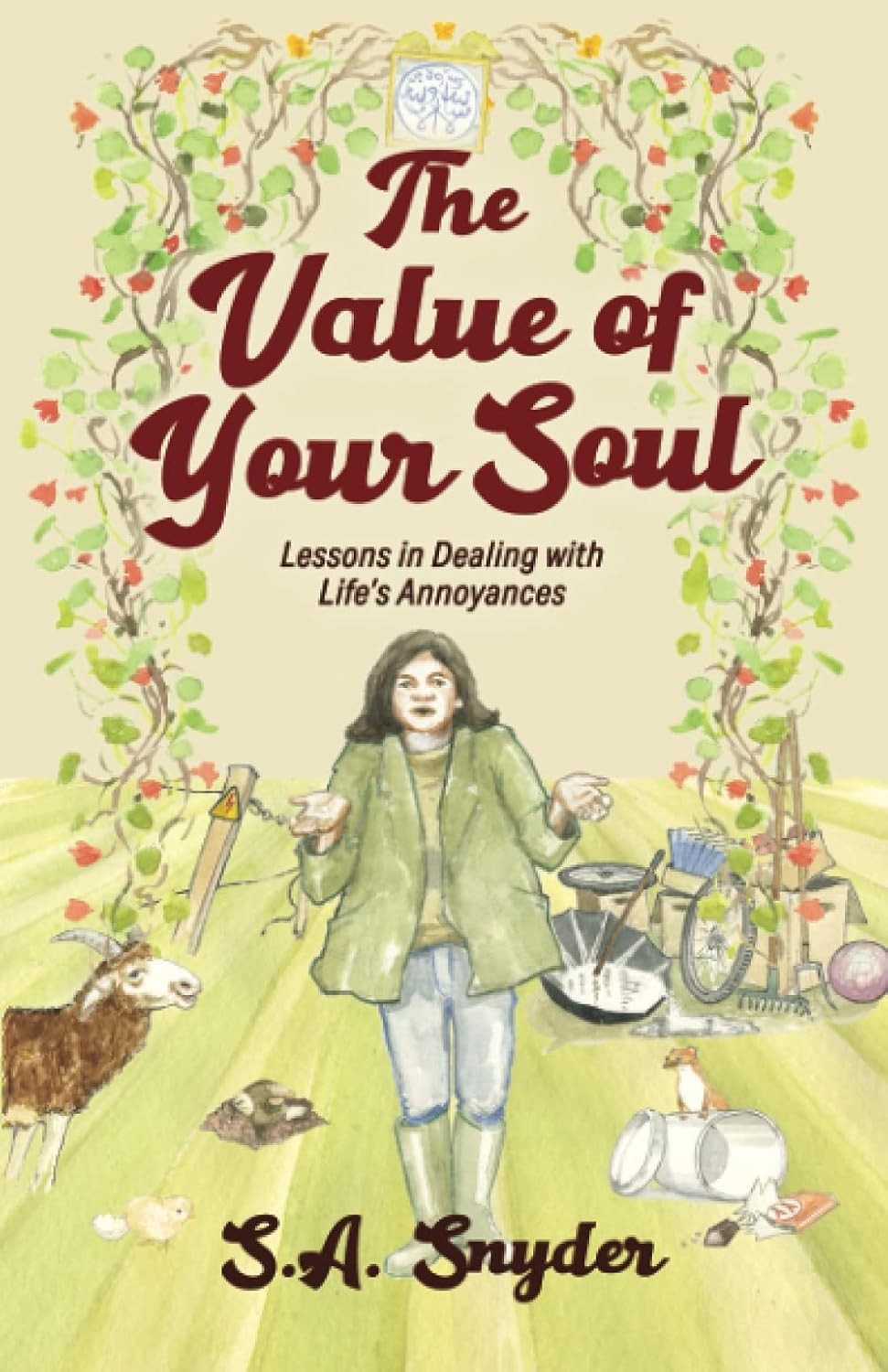 The Value of Your Soul: Lessons in Dealing with Life’s Annoyances Paperback by