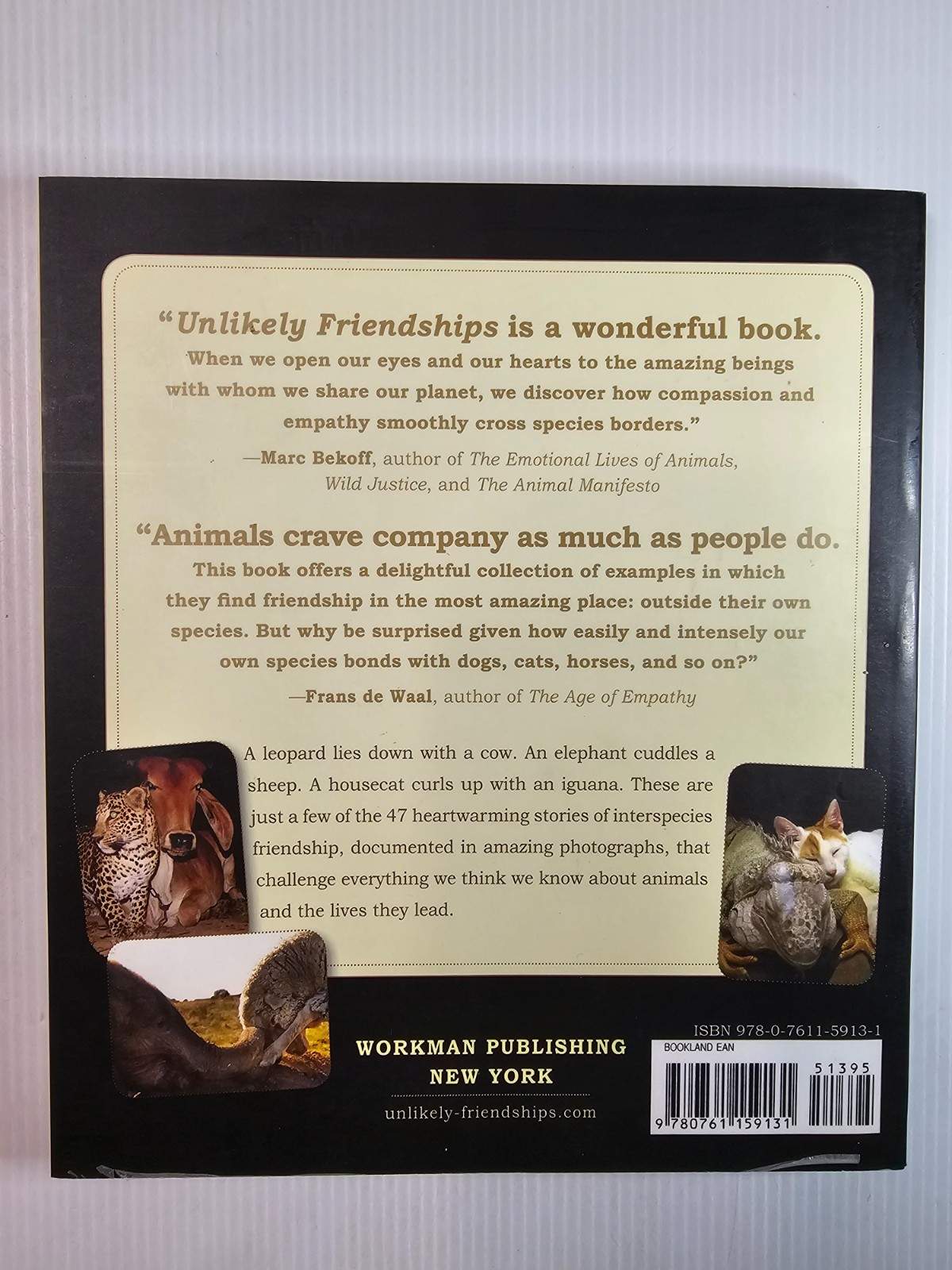 Unlikely Friendships by Jennifer S. Holland – Paperback