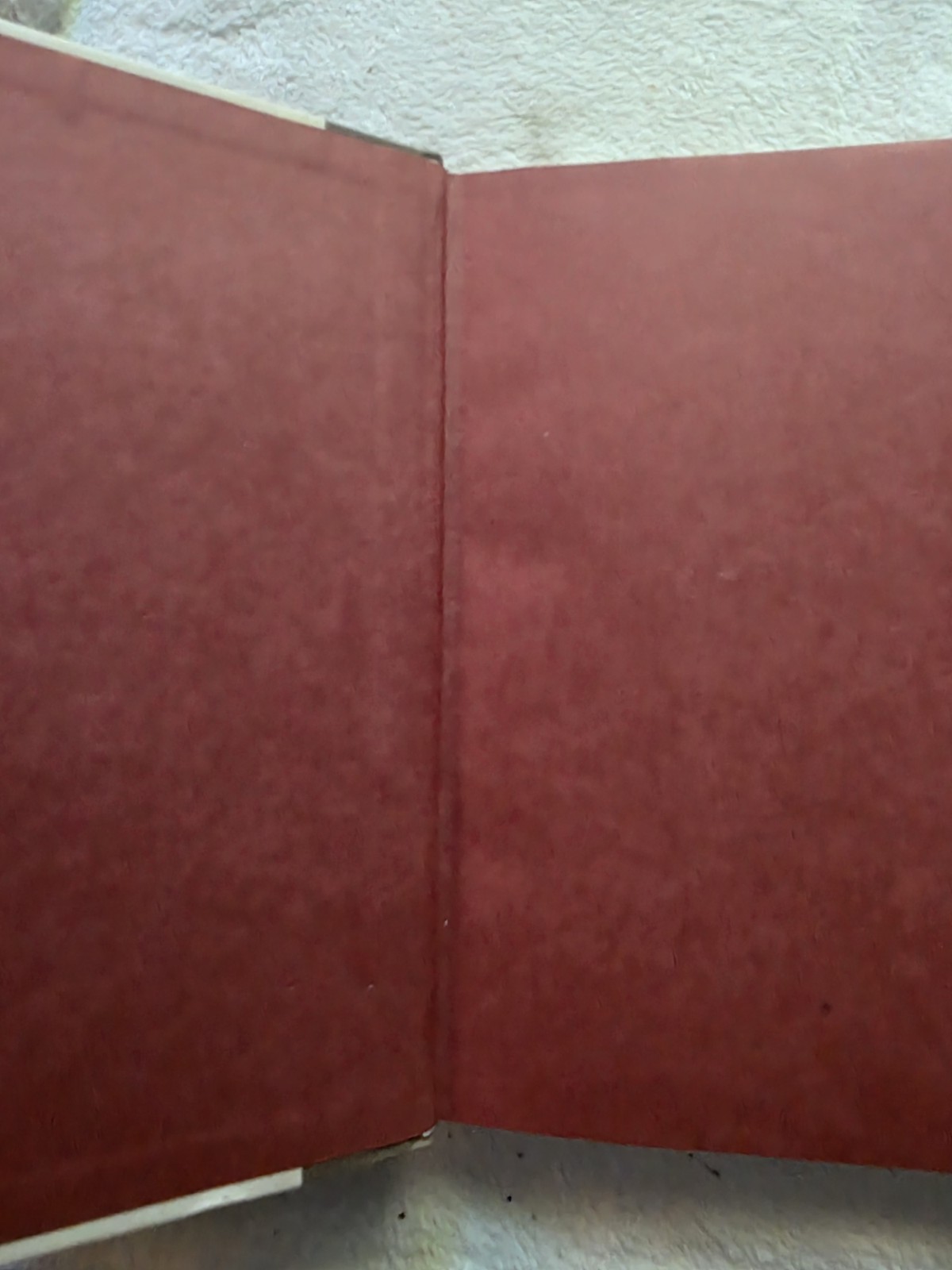 ACCORDION CRIMES by E Annie Proulx SIGNED First Edition 1996 HBDJ