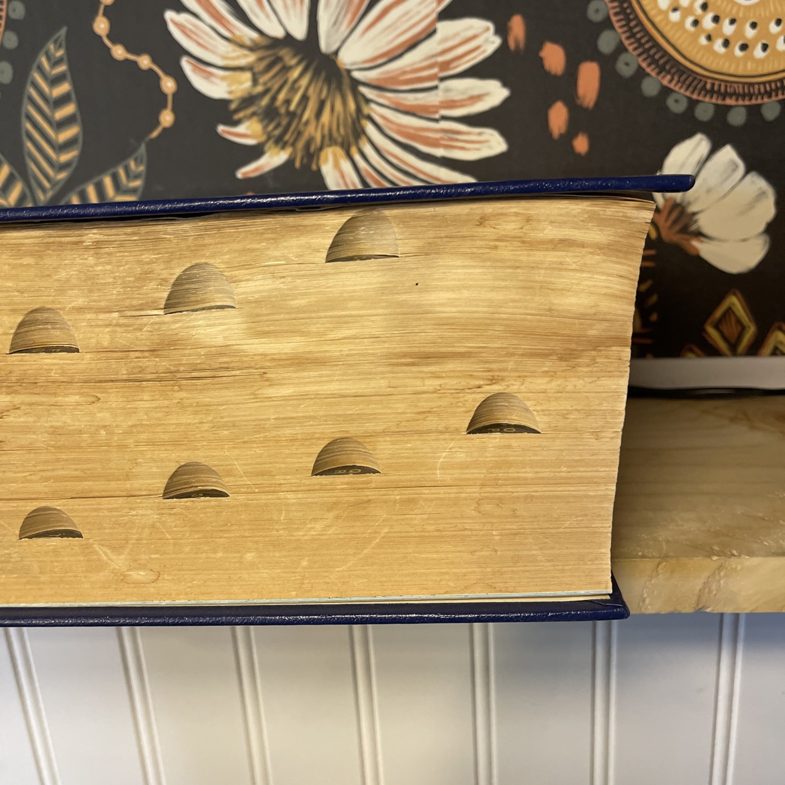 Webster’s New Universal Unabridged Dictionary: Deluxe Second Edition 1979 HC C5