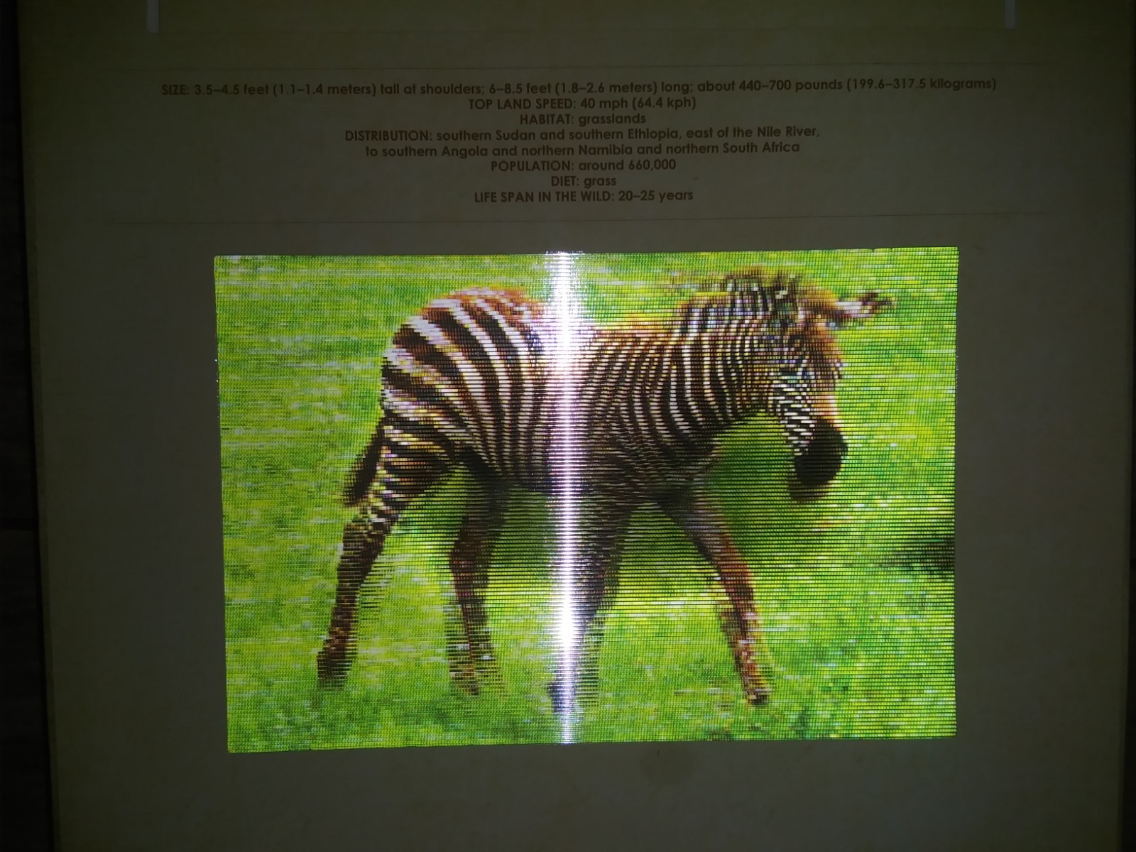 Safari: A Photicular Book – 3D Moving Pics of African Animals Educational Guide