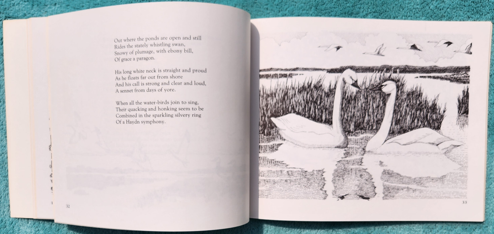 Song Of The Outer Banks A Celebration In 13 Cantos 1989 Trade Paperback 75 Pages
