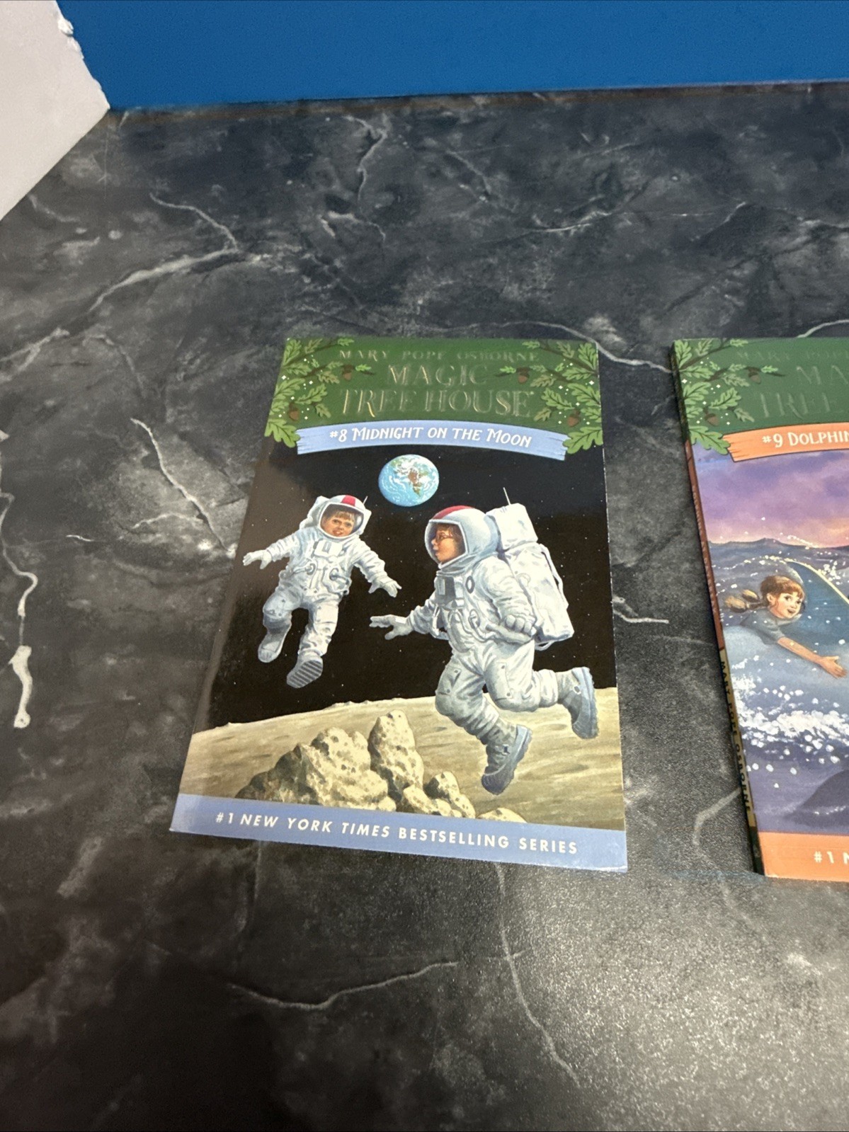 Magic Tree House 11 Book Collection