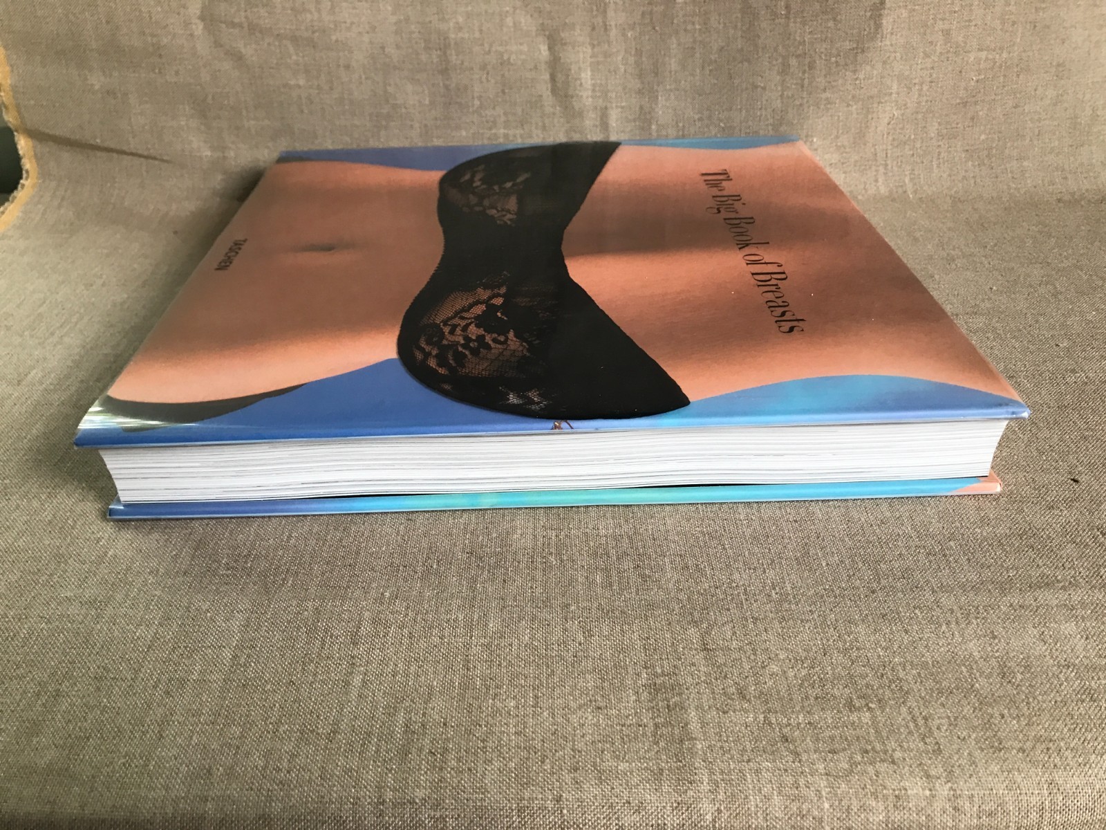 The Big Book of Breasts by Dian Hanson (Hardcover, 2022)