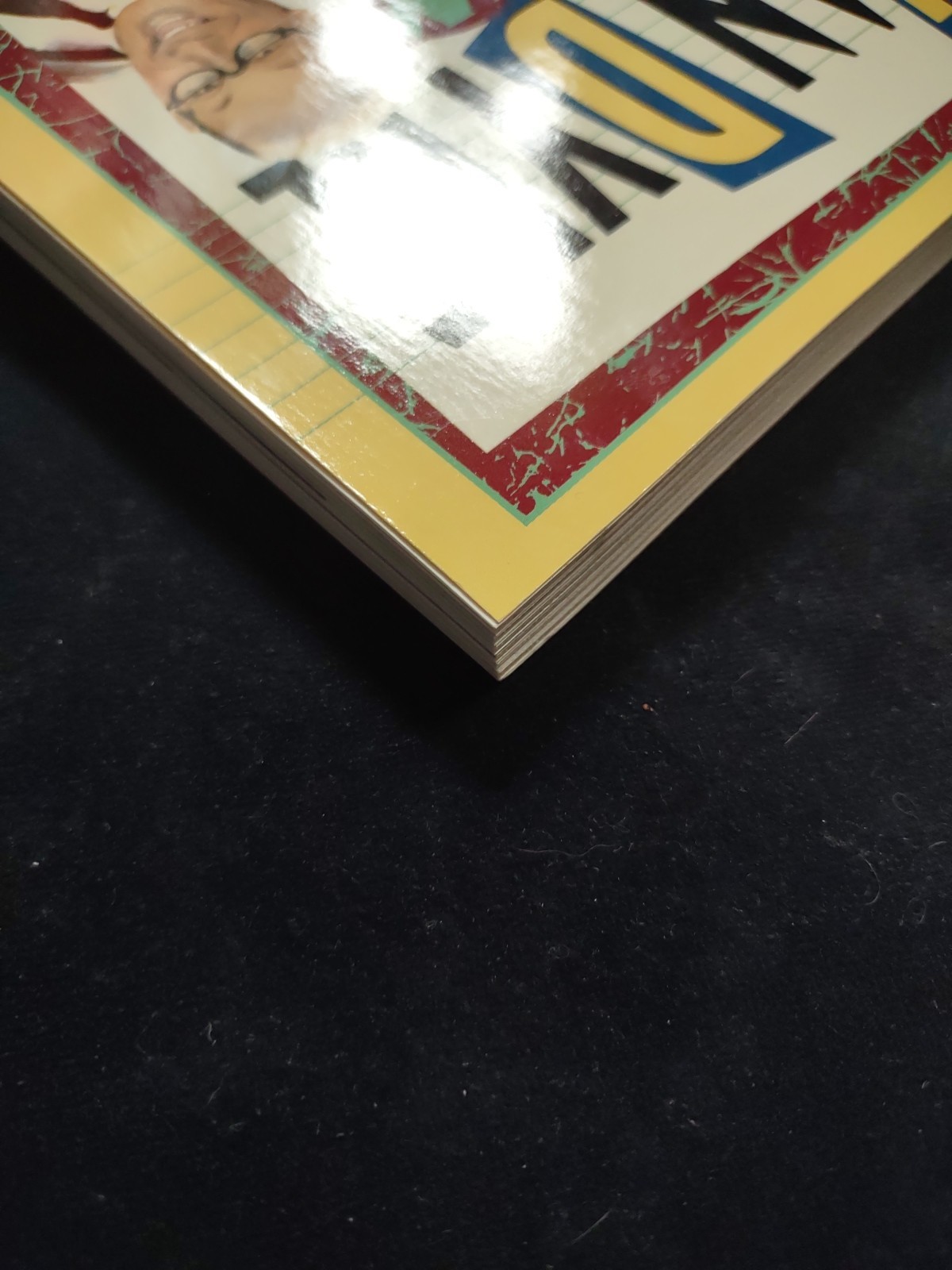 THE DICK VAN DYKE SHOW Ultimate Fan Guide Softcover Book Beautiful New Condition