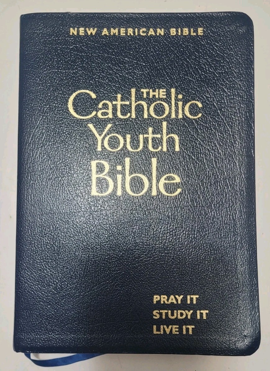 Catholic Youth Bible! In Great Shape