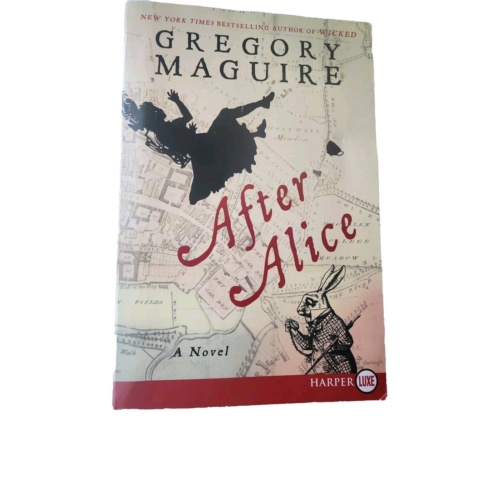 After Alice : A Novel by Gregory Maguire (2016, Trade Paperback)