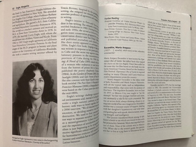 Latino Writers and Journalists by Jamie Martinez Wood all 294 pages clean
