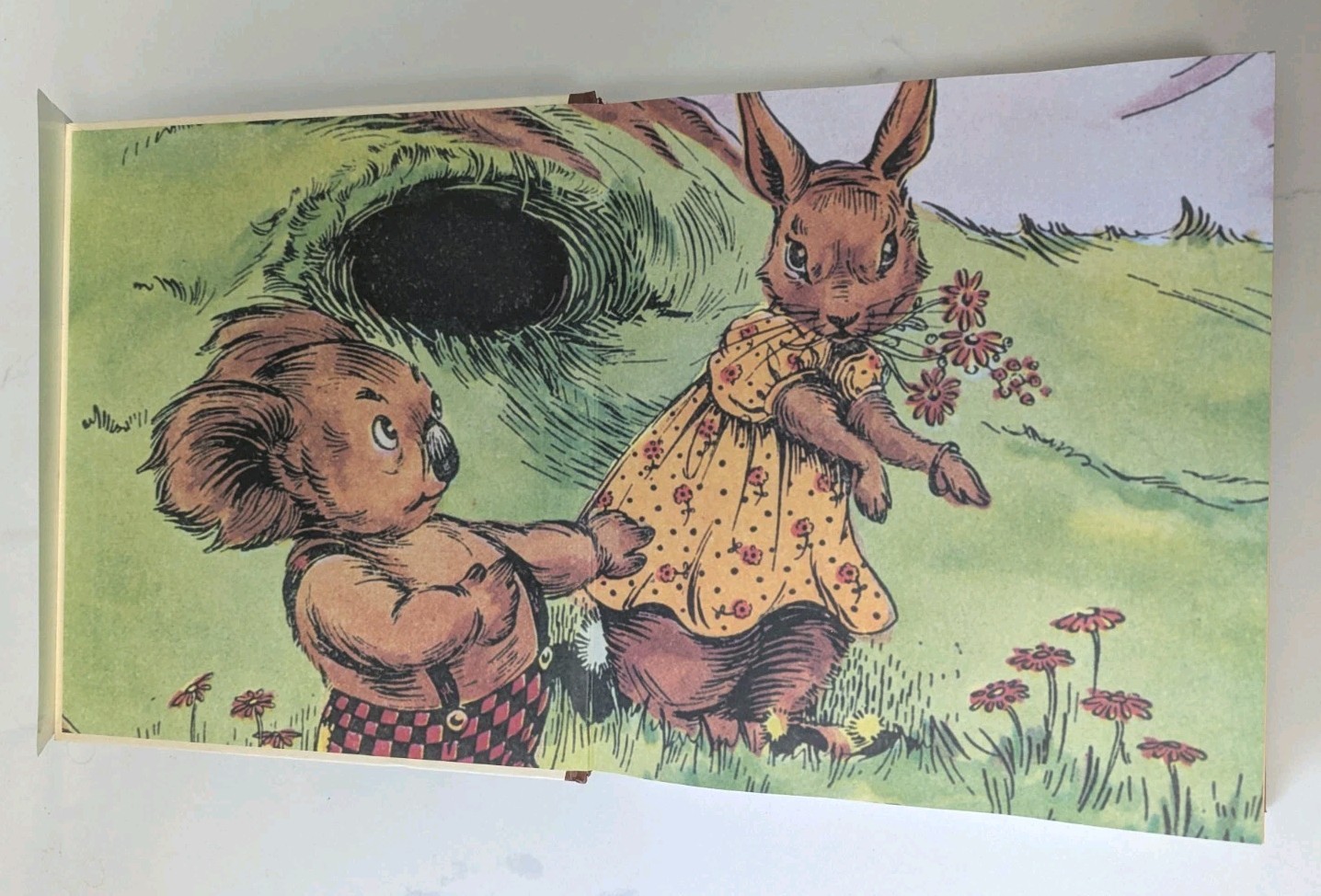 1990 Complete Adventures Blinky Bill Story & Illustrations HC Dorothy Wall
