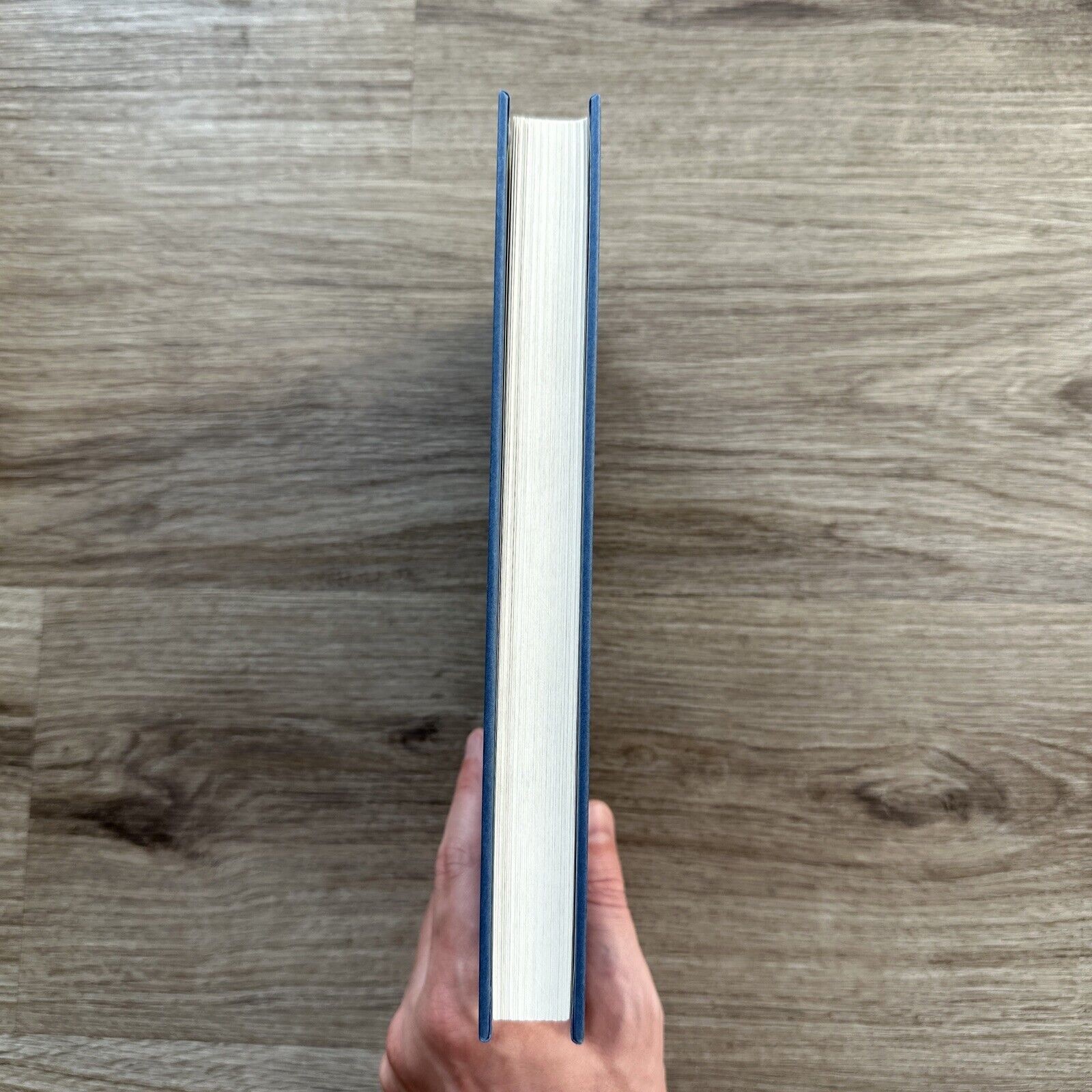 Maybe in Missoula by Toni Volk (1994, Hardcover) First Edtion