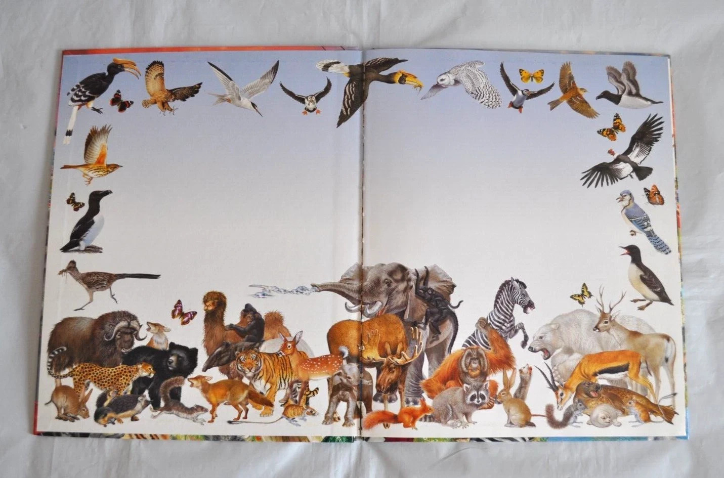 Catalan Language Busca els Animals en Perill Book Hardcover Spain 2002