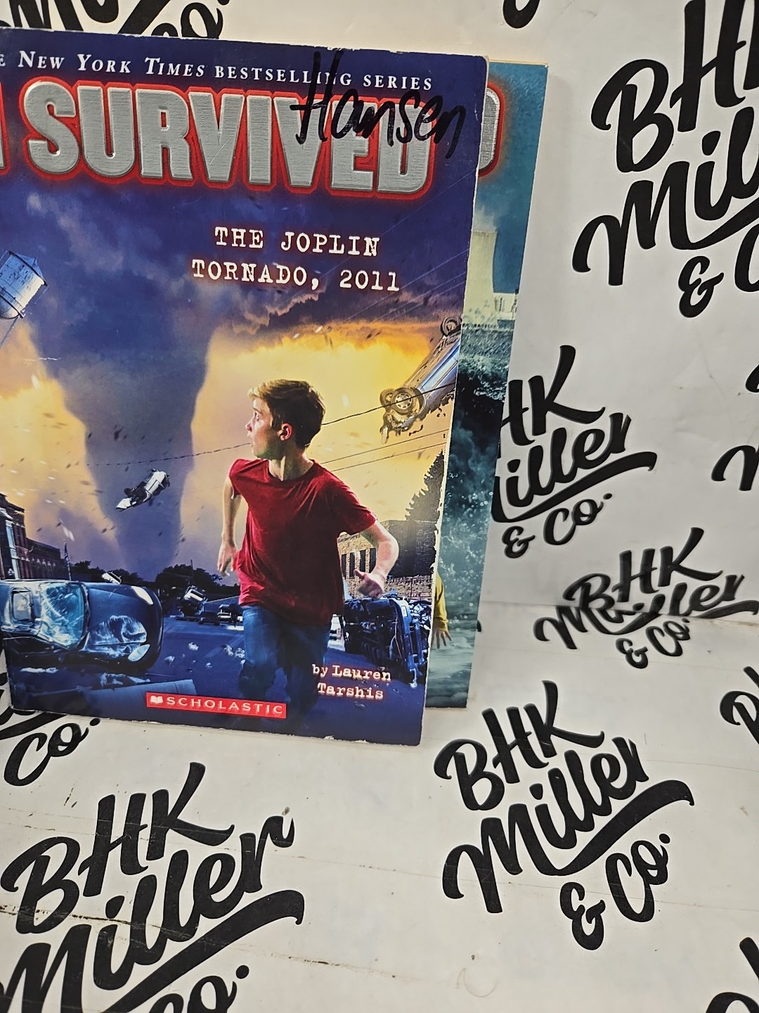 I SURVIVED Series Chapter Books by Lauren Tarshis Lot of 10