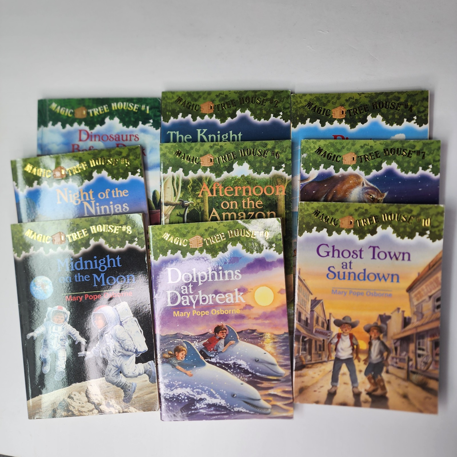 Magic Tree House Book Lot Mary Pope Osborne 20+ Books Kids Chapter Series