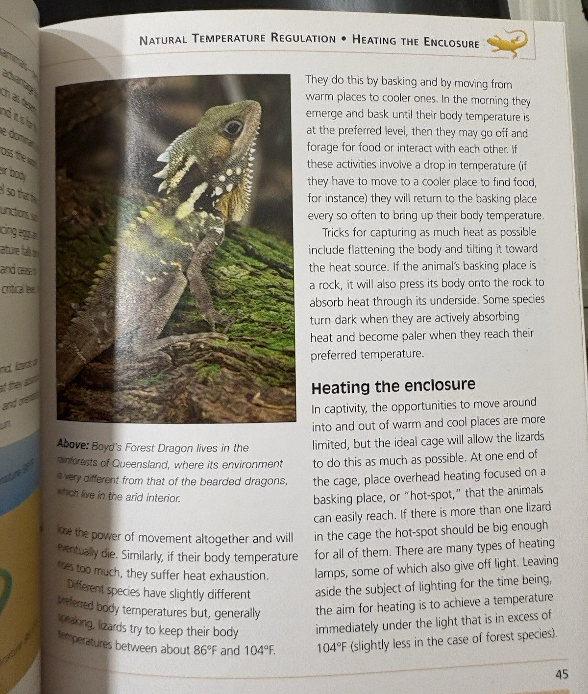 Barron’s Mini Encyclopedia Bearded Dragons Chris Mattison Paperback 2011 Illus