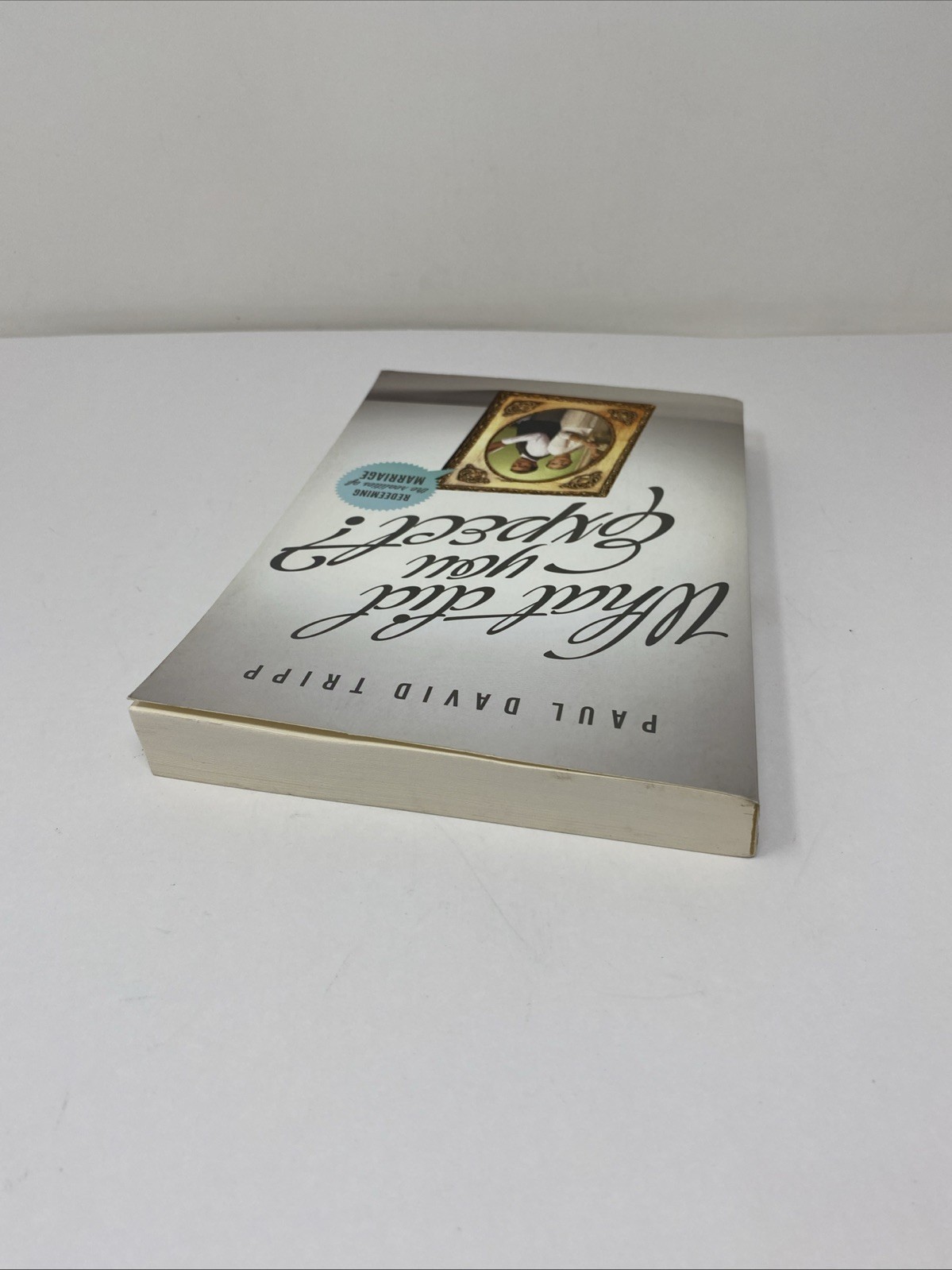 What Did You Expect Paul David Tripp Paperback 2012 Clean Pages