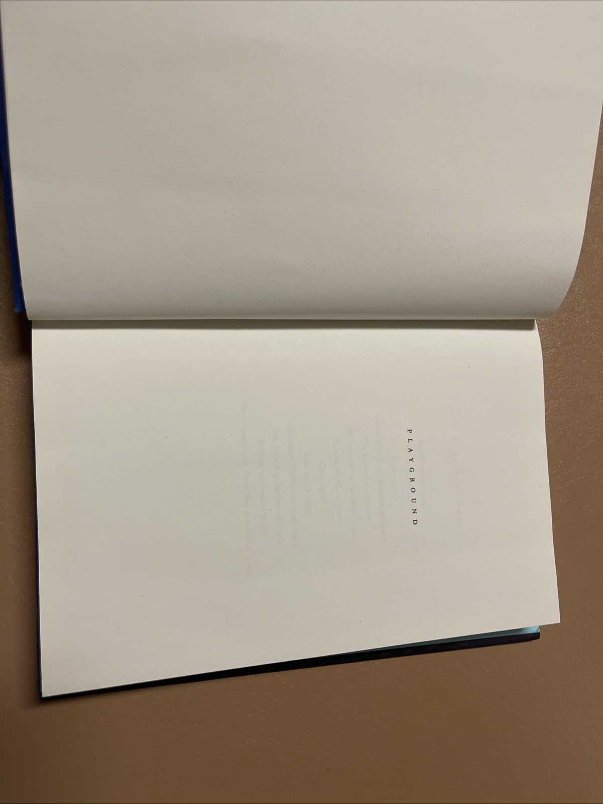 Playground Hardcover Richard Powers